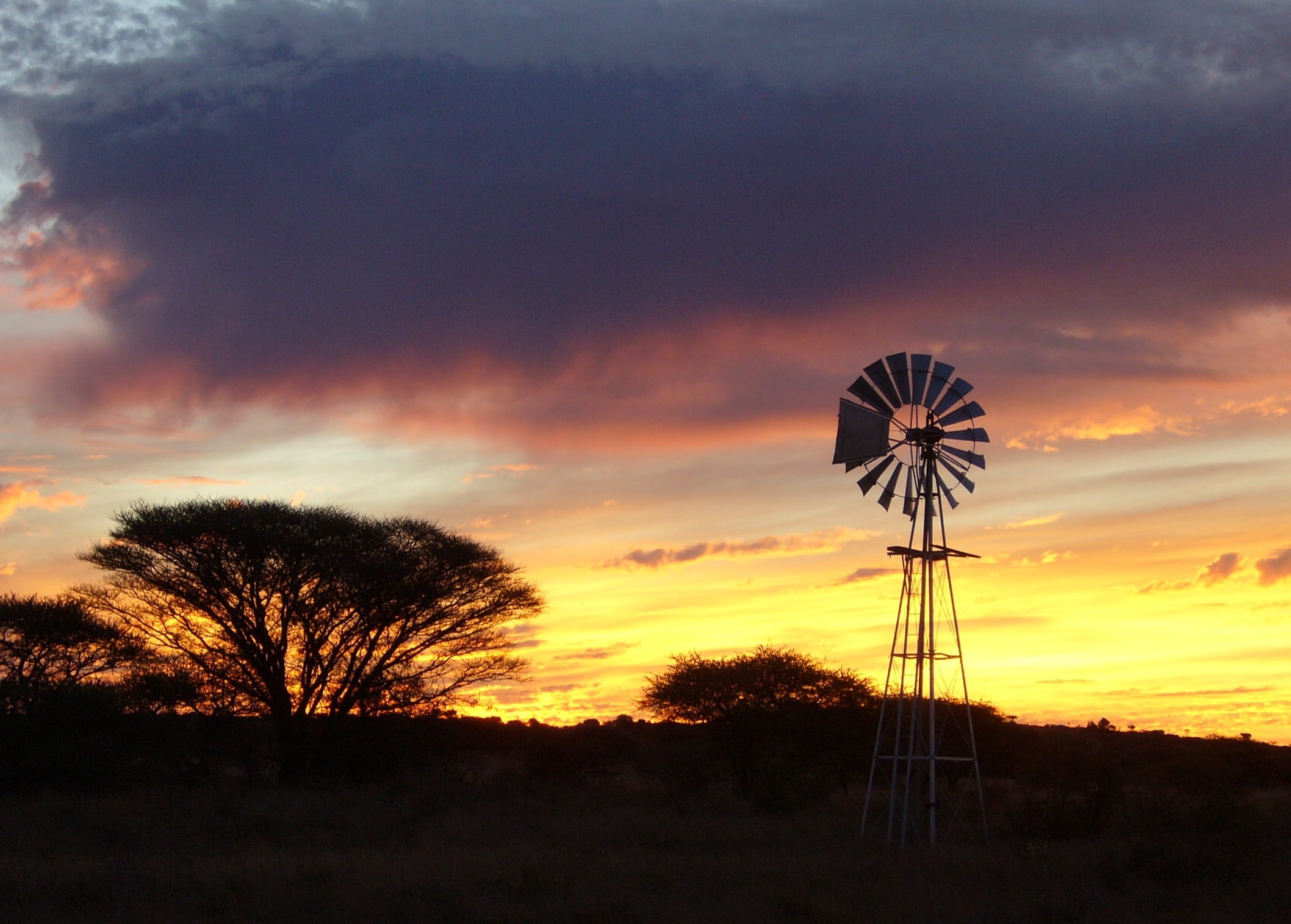 wind power, field, Wind Mill, orange color, renewable energy, beauty in nature, turbine, fuel and power generation, south africa, Farm, 1080P, outdoors, HD Wallpaper
