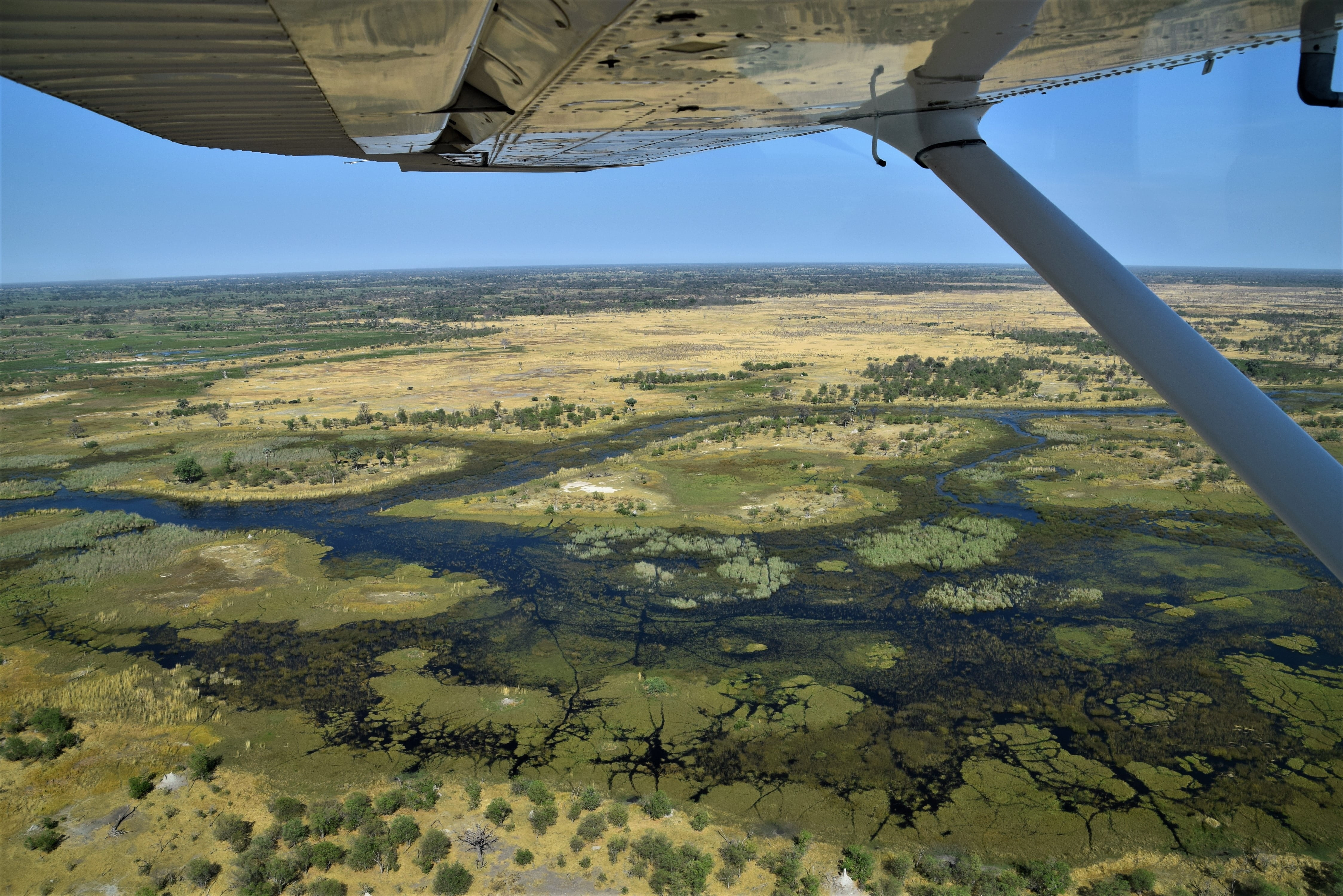 plant, aircraft wing, delta, nature, land, beauty in nature, okavango, airplane, aerial view, field, no people, botswana, day, outdoors, scenics - nature, HD Wallpaper