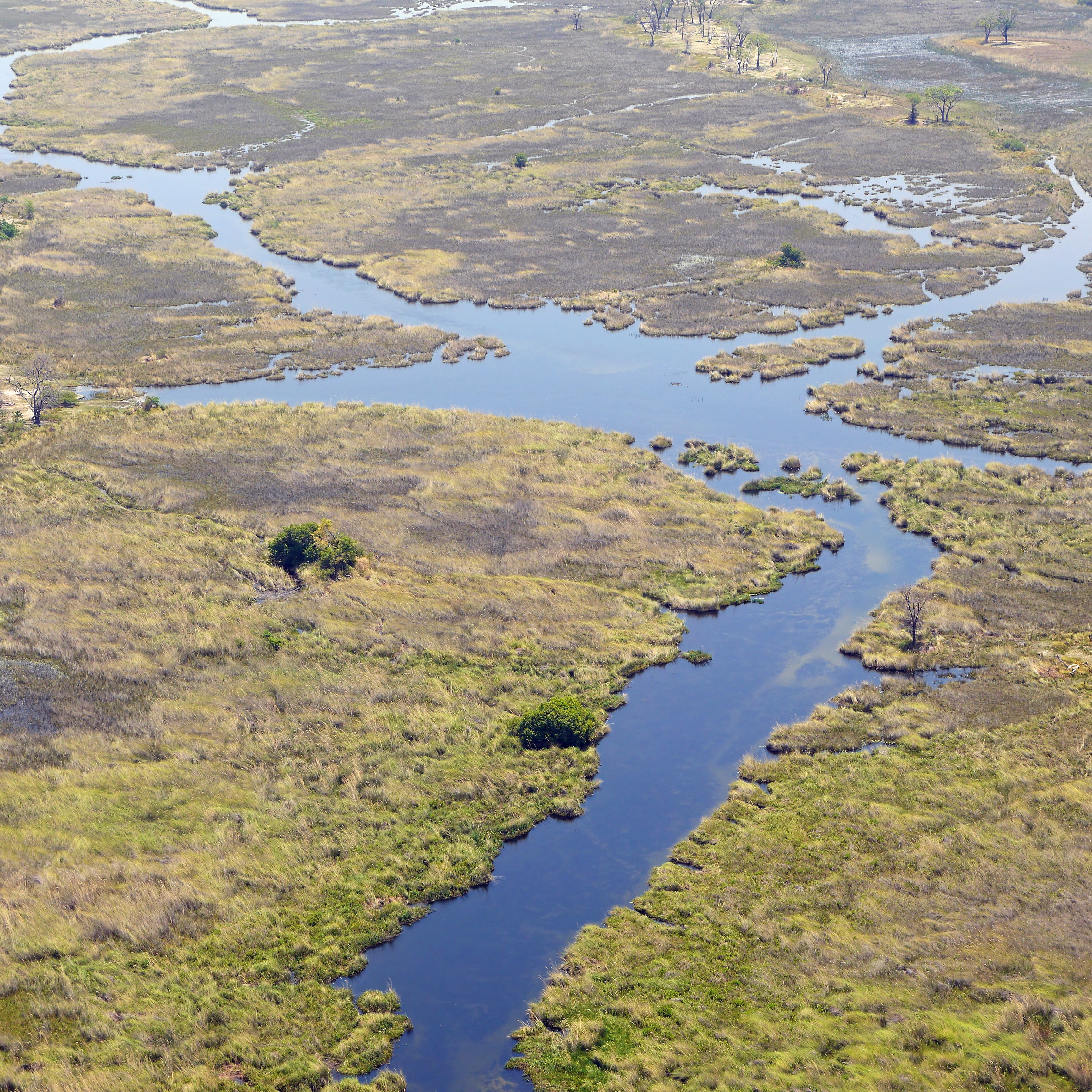 high angle view, plant, growth, tranquility, non-urban scene, marsh, reflection, no people, lake, landscape, Okavango Delta, outdoors, 2K, water, swamp, Phone HD Wallpaper