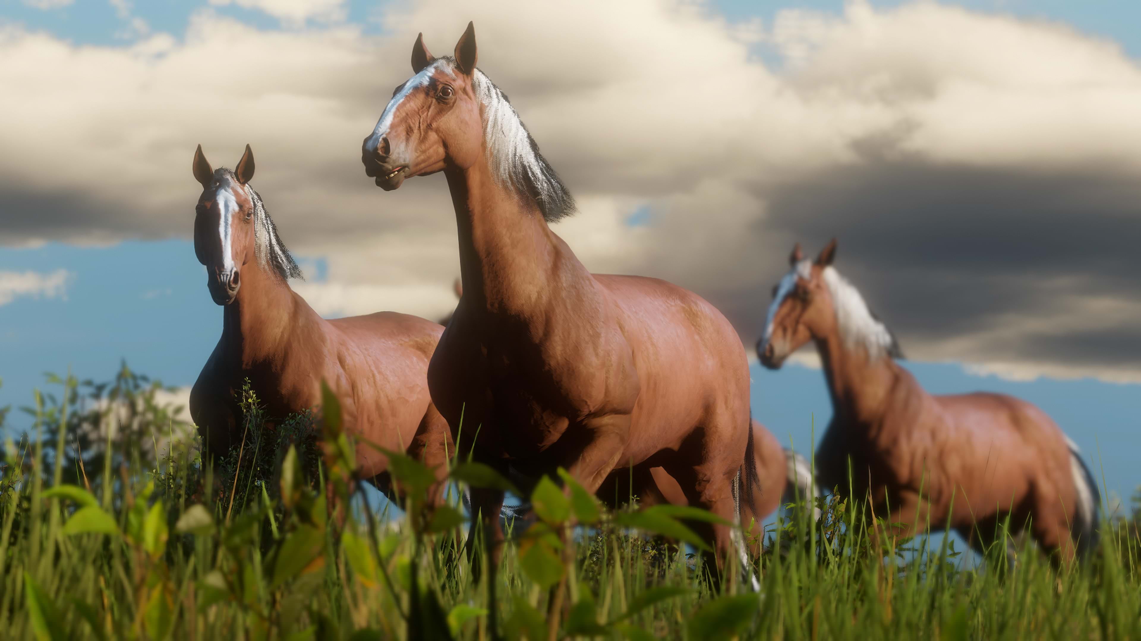 outdoors, animal family, day, horse, domestic animals, land, 4K, domestic, sky, animal themes, livestock, pets, plant, group of animals, vertebrate, Red Dead Redemption 2, HD Wallpaper