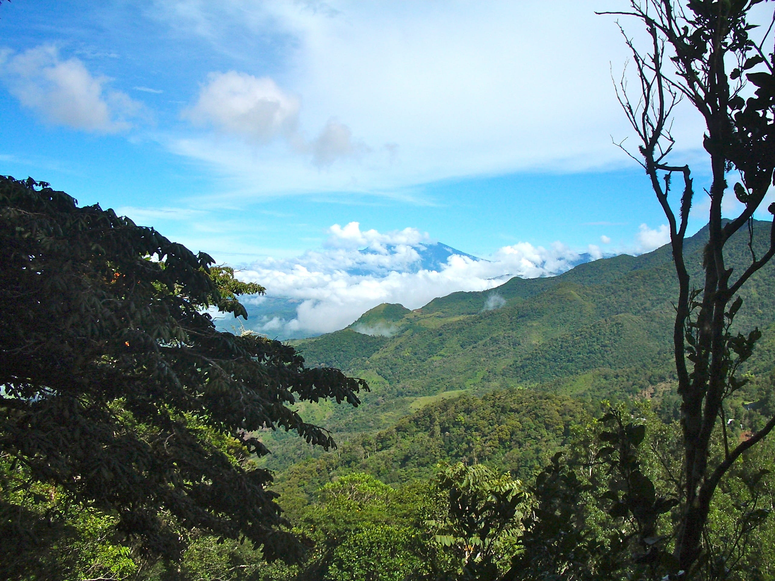 cloud - sky, Clouds, scenic, green color, tree, non-urban scene, idyllic, central america, vacation, day, outdoor, no people, range, outdoors, 2K, tranquil scene, HD Wallpaper