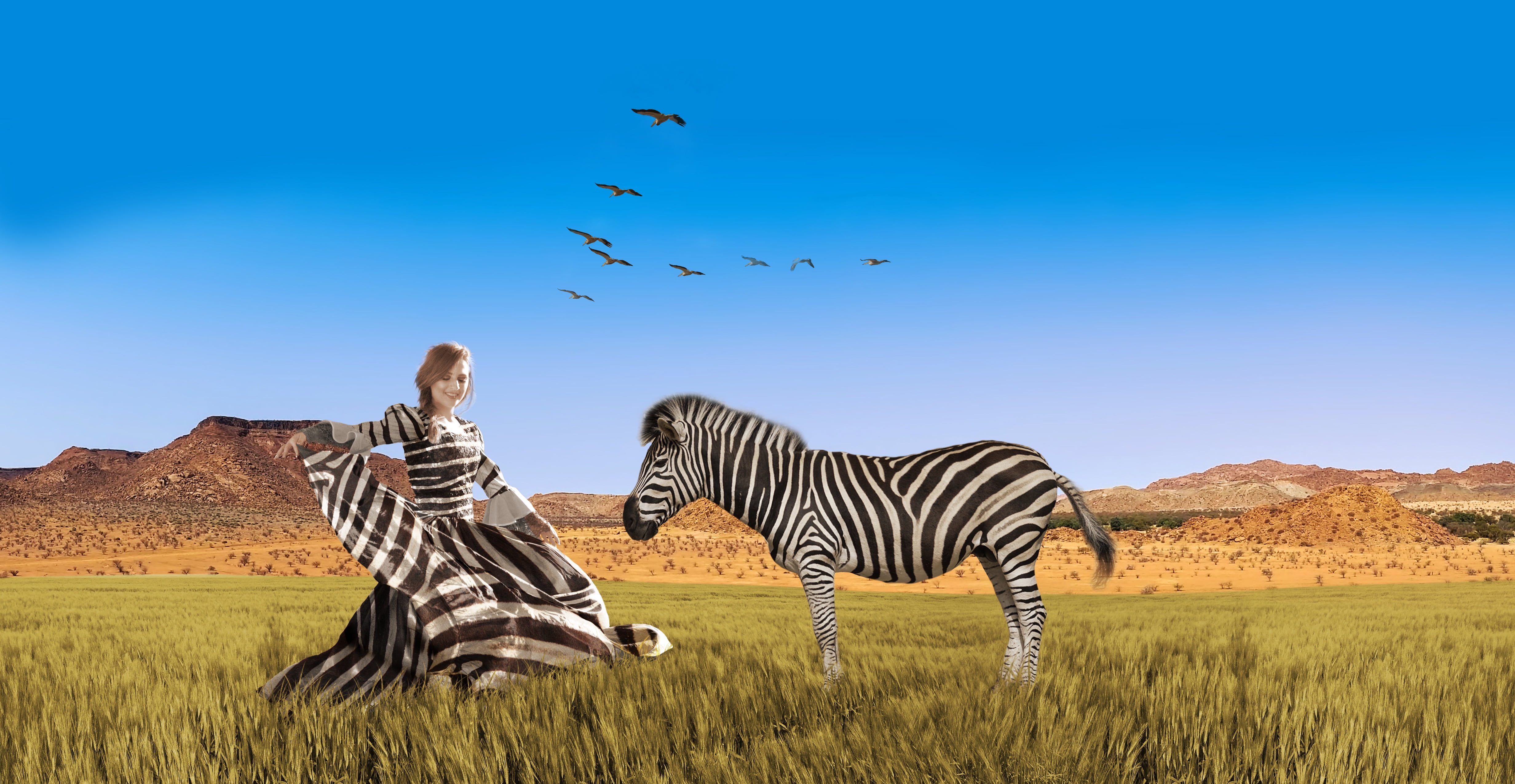wildlife, wearing, steppe, safari Animals, wide, flock of birds, zebra, outdoors, travel destinations, landscape, africa, near, animal themes, herbivorous, HD Wallpaper