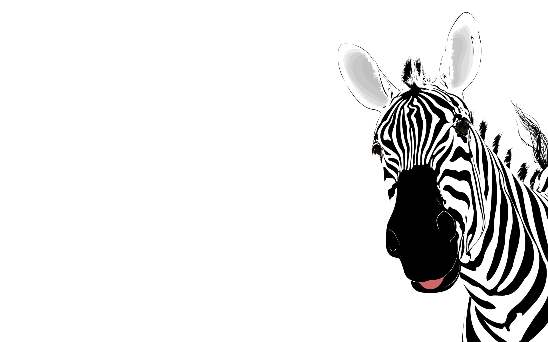 close-up, day, safari Animals, wildlife, black Color, abstraction, copy space, safari, black And White, striped, studio shot, abstract, animal, plains Zebra, HD Wallpaper