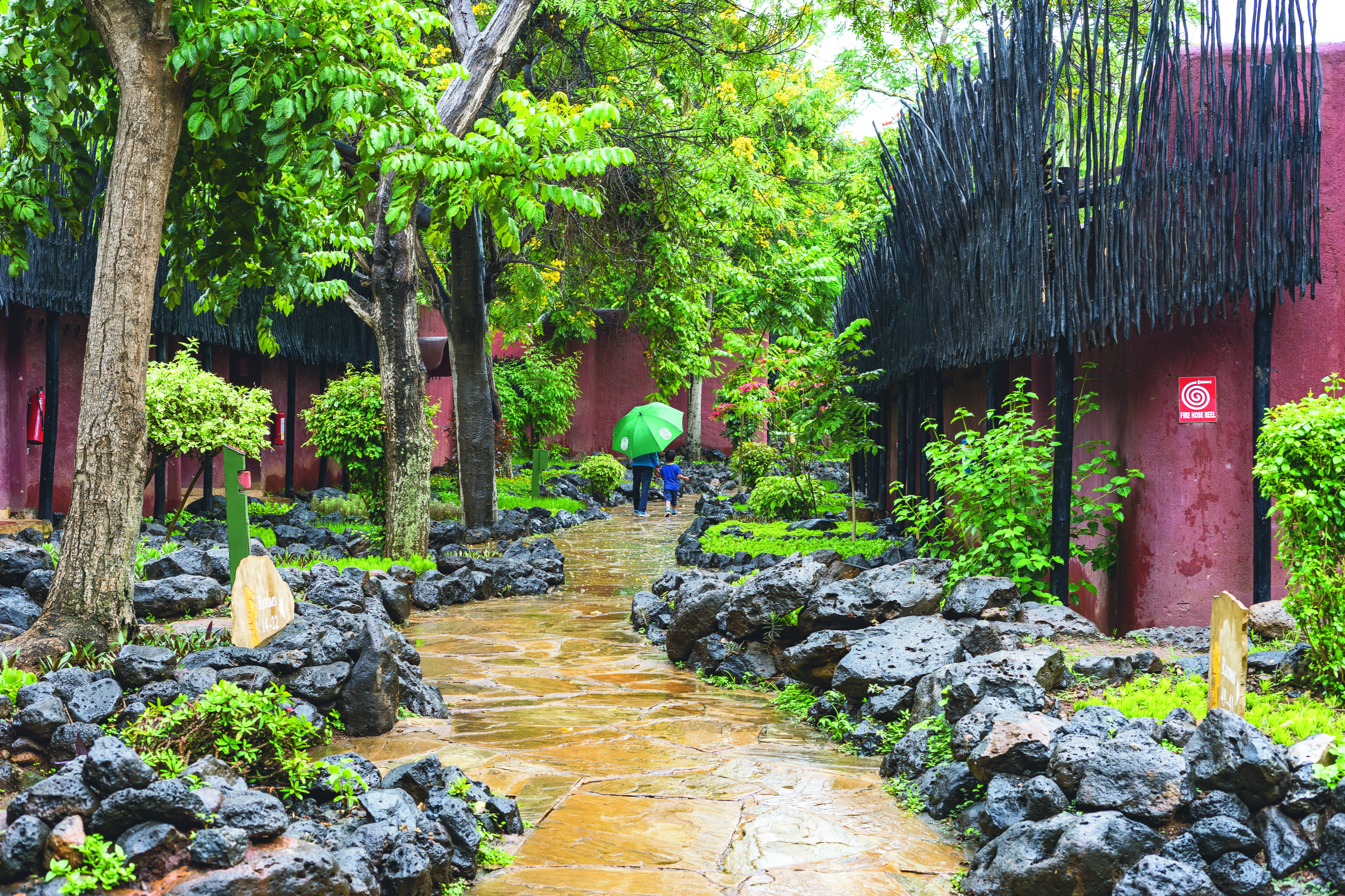 solid, resort, 5K, kenya, footpath, sidewalk, son, africa, amboseli national park, rock - object, nature, umbrella, growth, rain, walkway, sun, real people, HD Wallpaper