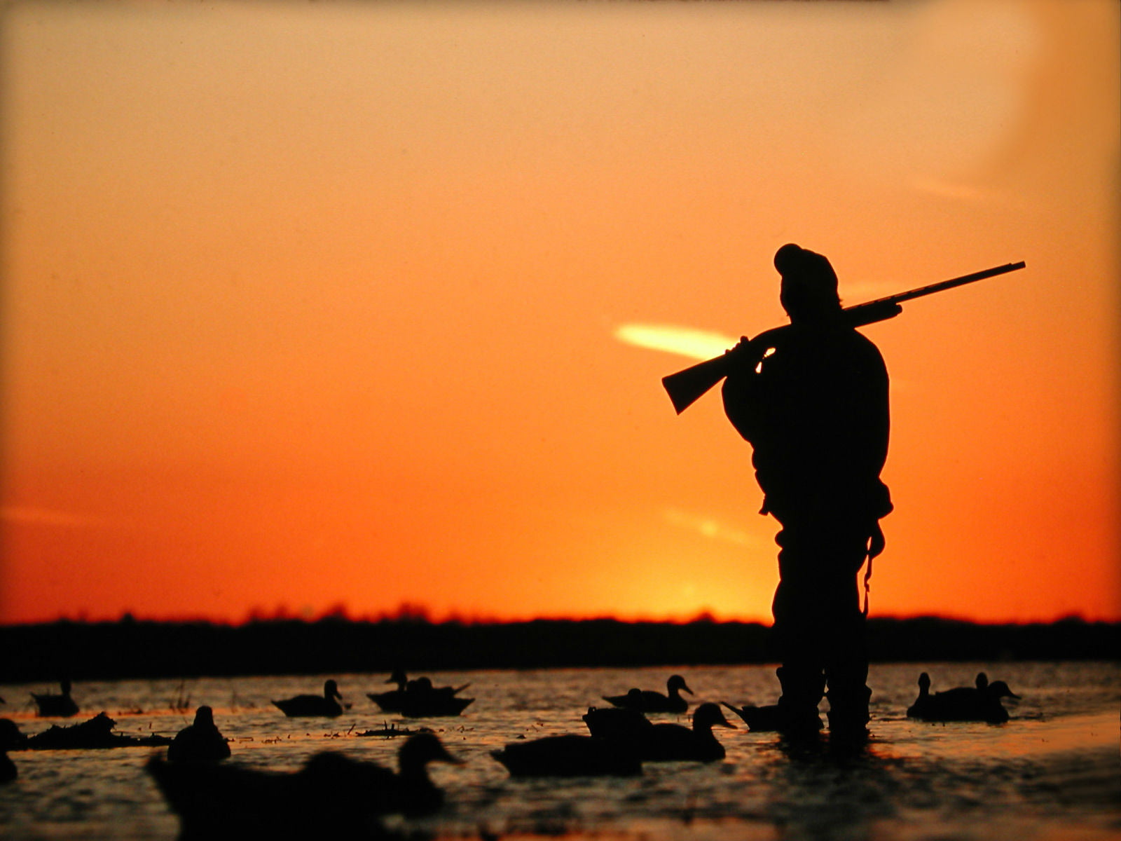 scenics - nature, rock, standing, men, adult, reflection, full length, sky, ducks, orange color, silhouette, Hunting, lake, sunset, Sports, 720P, solid, HD Wallpaper