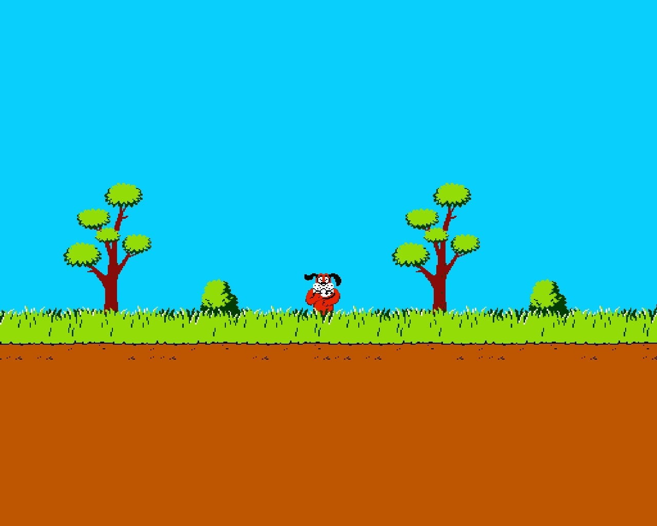animals in the wild, day, nature, multi colored, digital composite, rainforest, plant, blue, tree, video games nintendo duck hunt dog trees pixel art pixelated nintendo entertainment system laughing, HD Wallpaper