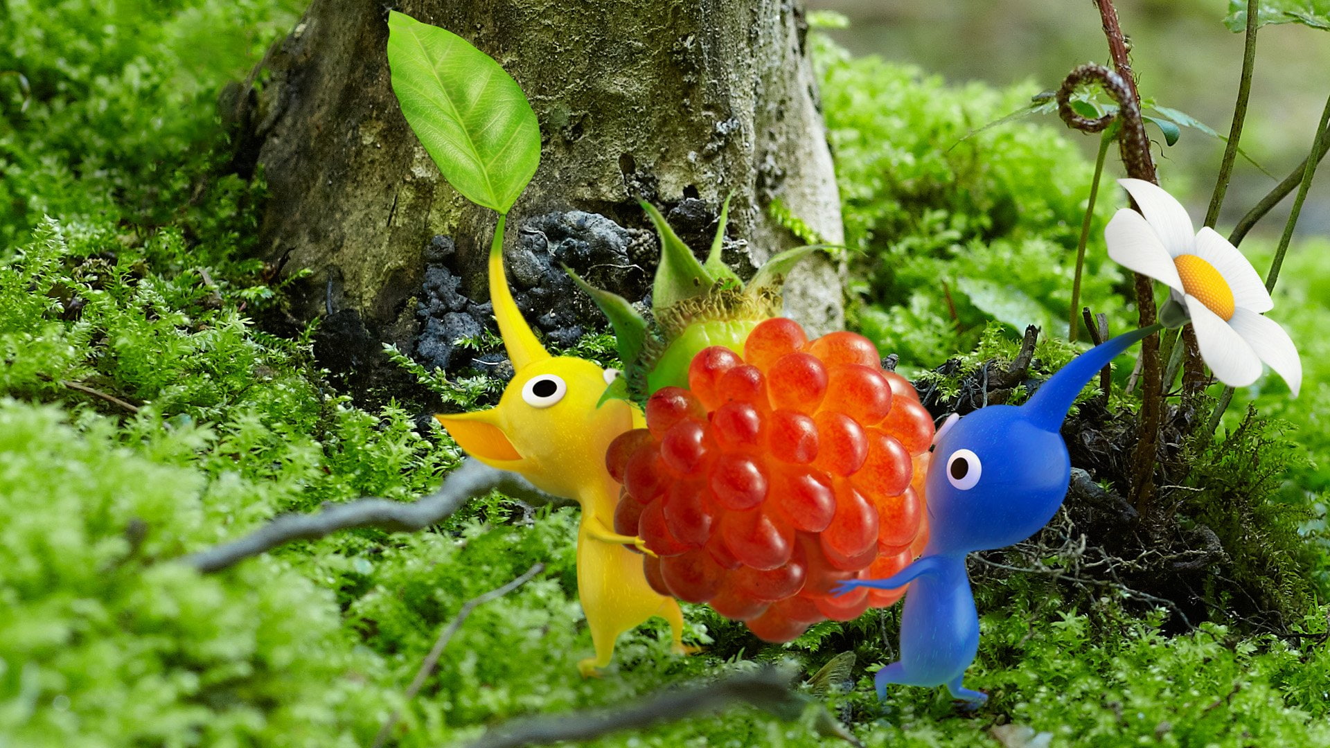 Pikmin, 1080P, HD Wallpaper