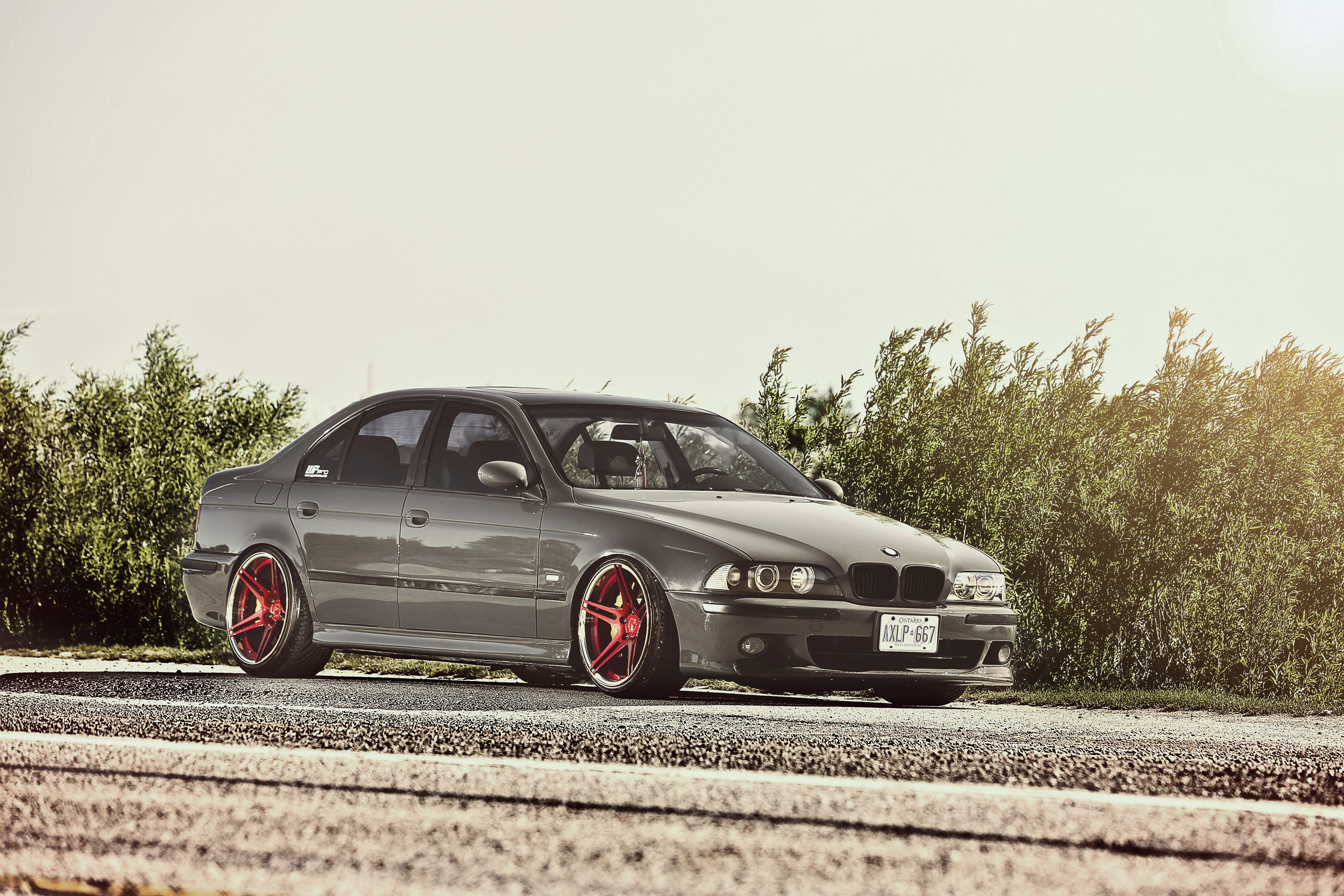 BMW, tree, the bushes, wheel, mode of transportation, transportation, day, outdoors, street, sedan, 5 Series, retro styled, nature, travel, E39, land vehicle, HD Wallpaper
