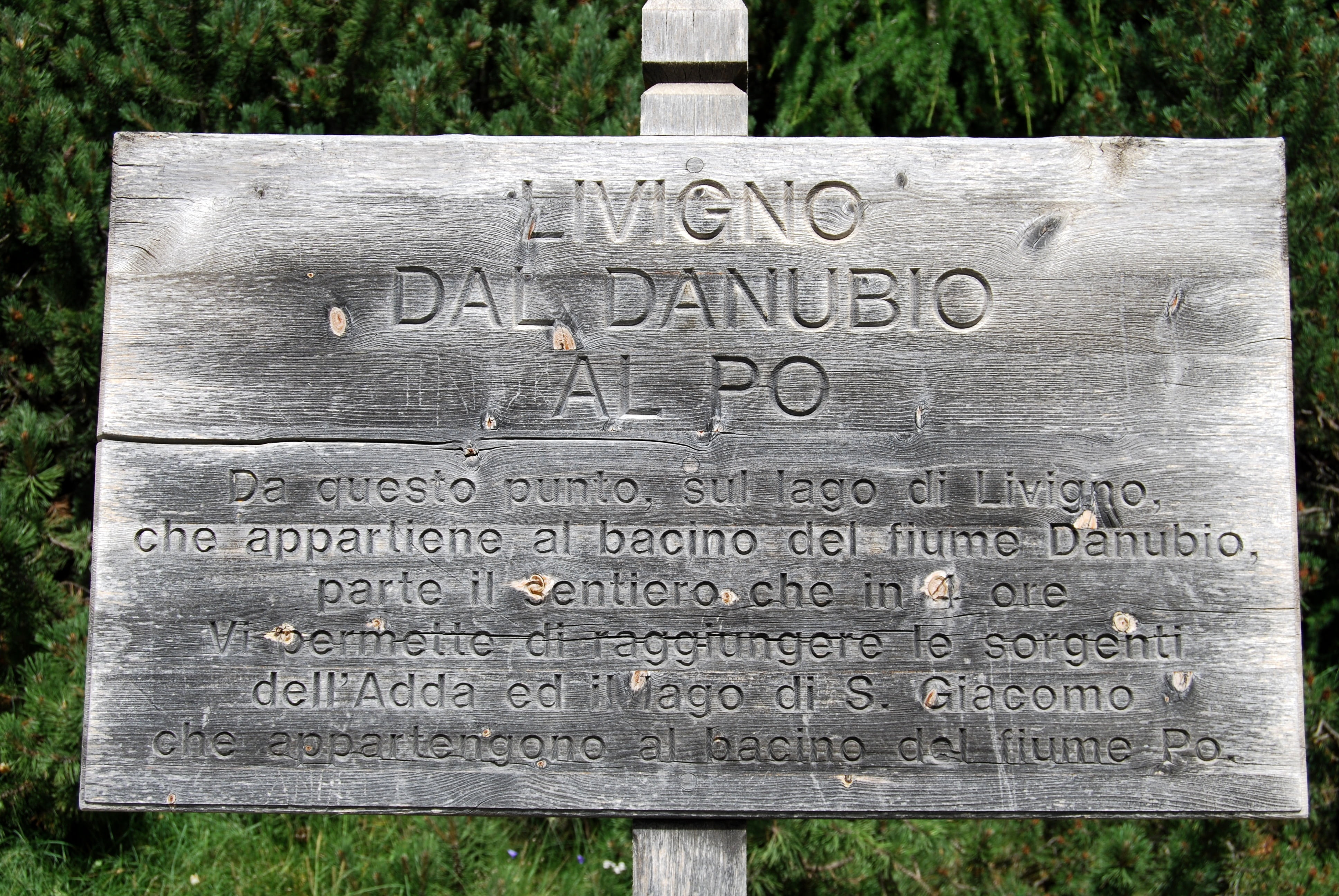 wood, western script, travel, information, non-western script, livigno, text, no people, tombstone, old, the past, day, information sign, message, tree, HD Wallpaper