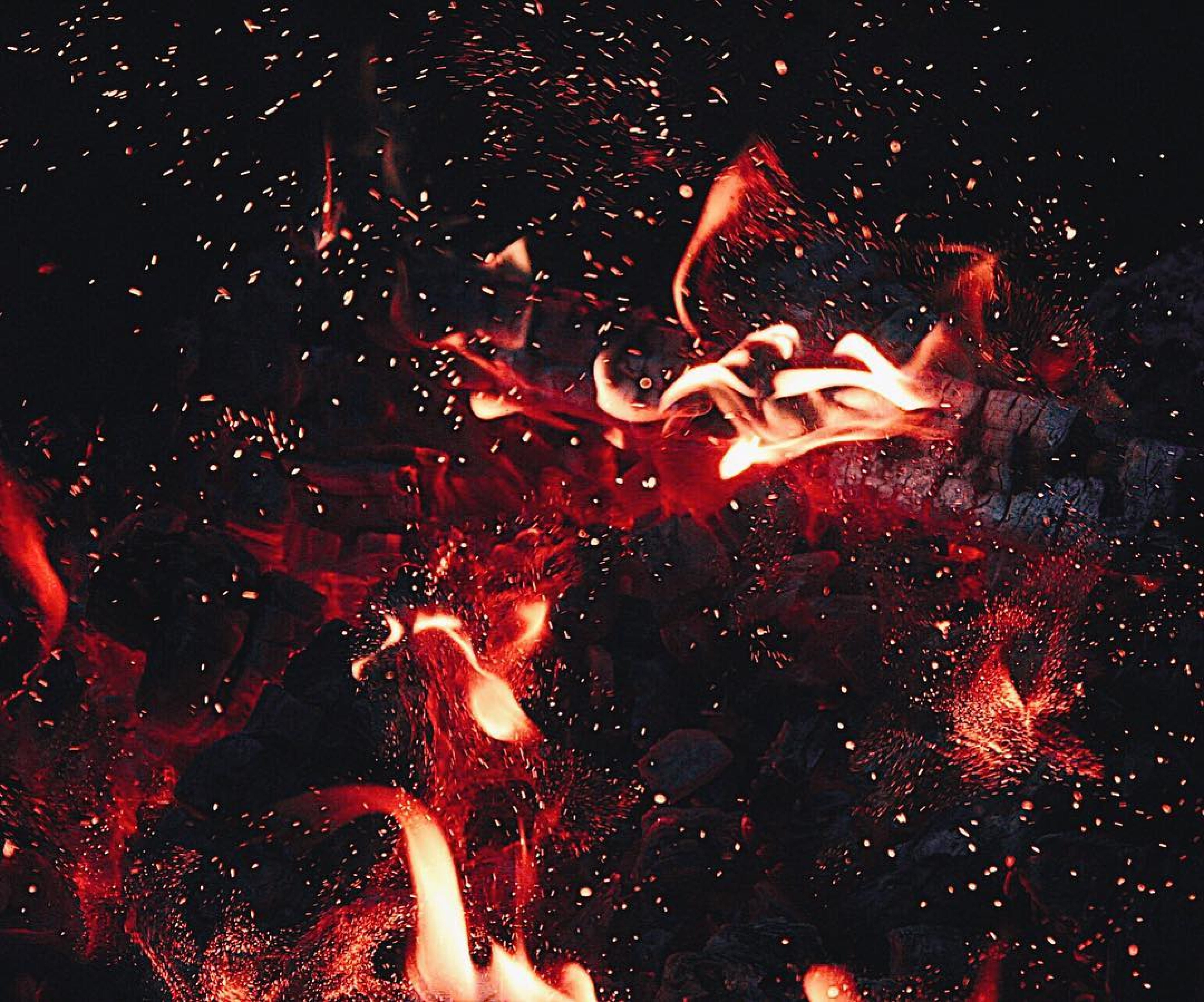 nature, fire, illuminated, fire - natural phenomenon, flame, coal, heat, time, animal, outdoors, no people, photography, black background, night, motion, HD Wallpaper