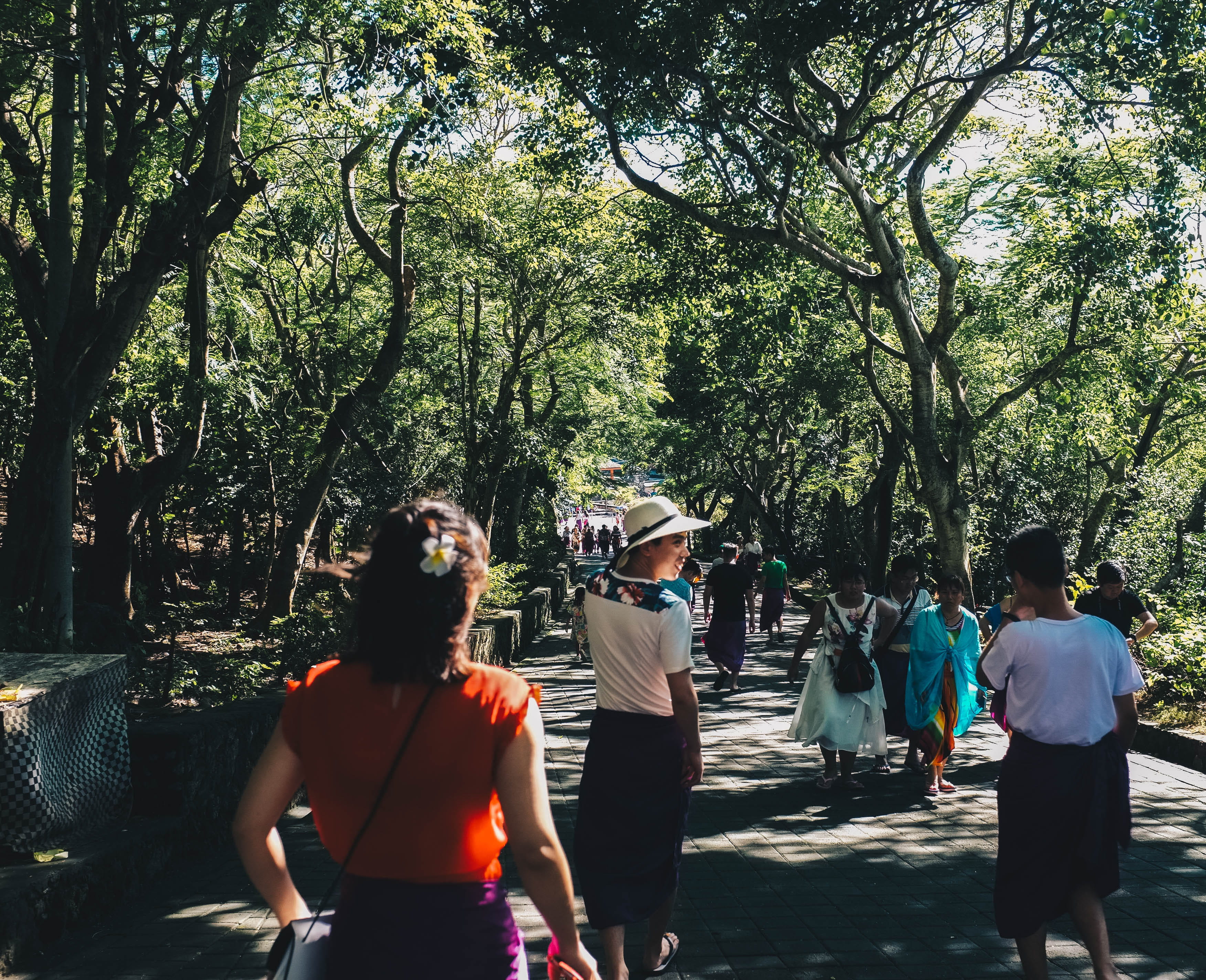 lifestyles, group of people, wear, people, standing, tourist, men, crowd, plant, green, tree, adult, outdoors, focus, indonesia, forest, rear view, smiling, HD Wallpaper