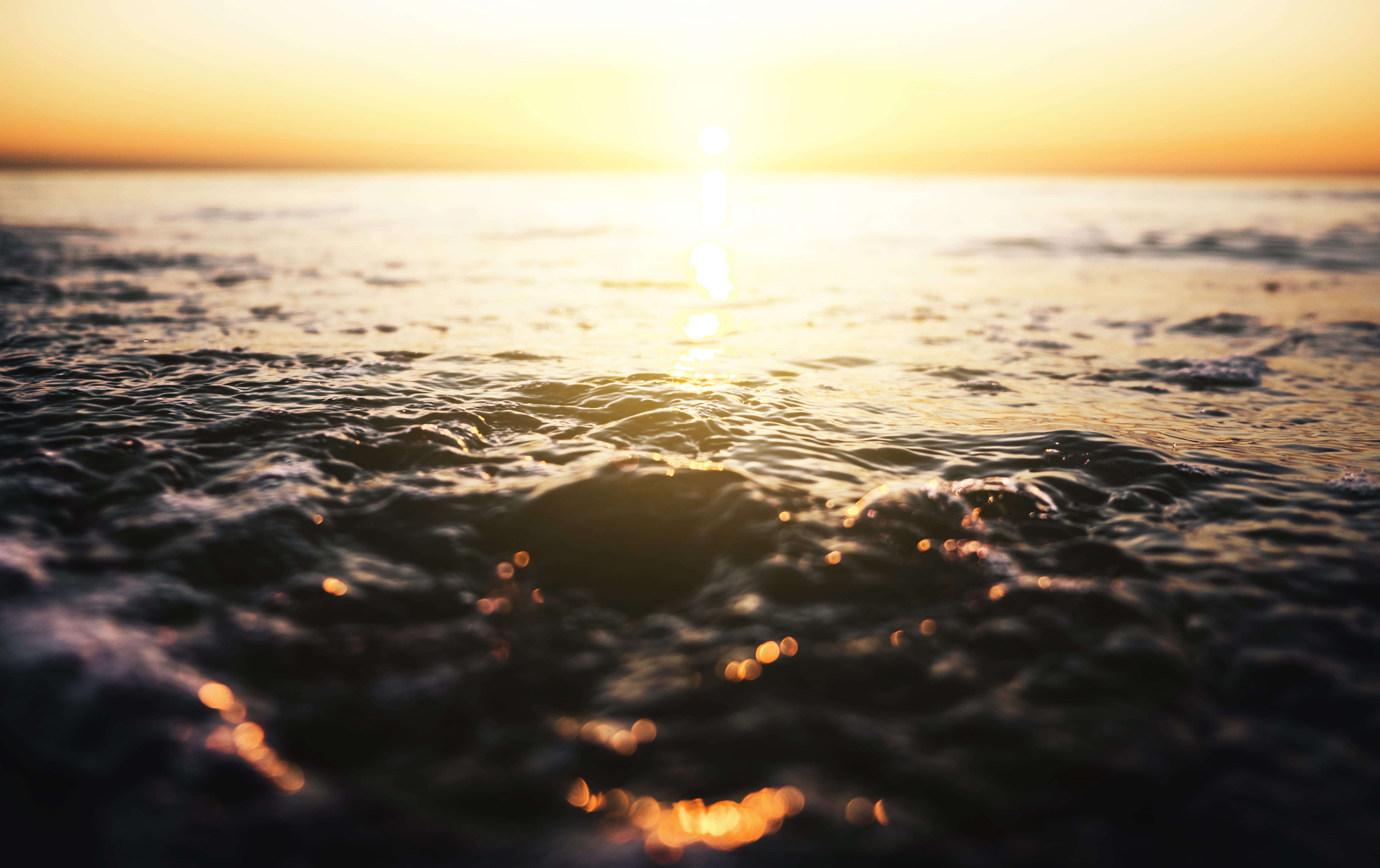 clean, tranquility, beauty in nature, jorikkleen, tranquil scene, ocean, 5K, no people, low, water, plastic soup, land, idyllic, denmark, apple, no waste, HD Wallpaper