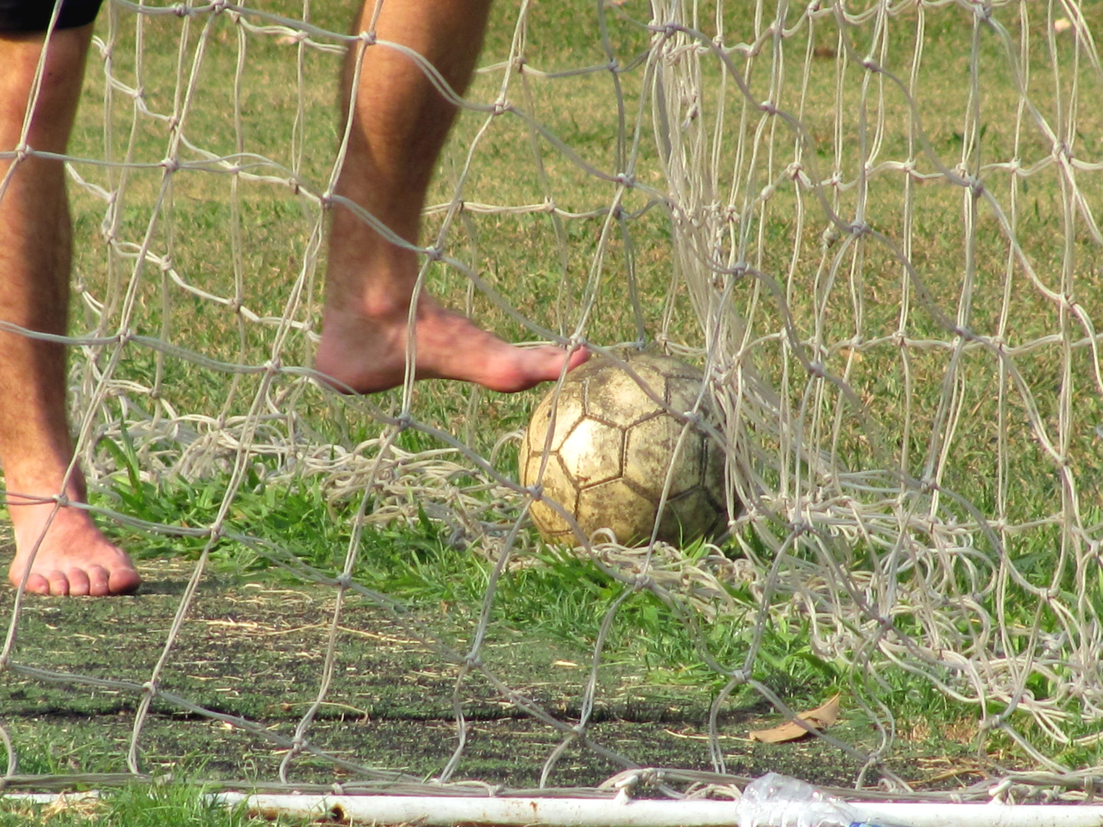 human body part, holding, 2K, hand, amateur soccer, human limb, field, outdoors, football field, Soccer, gardening, food, body part, Amateur, plant, Goal, HD Wallpaper