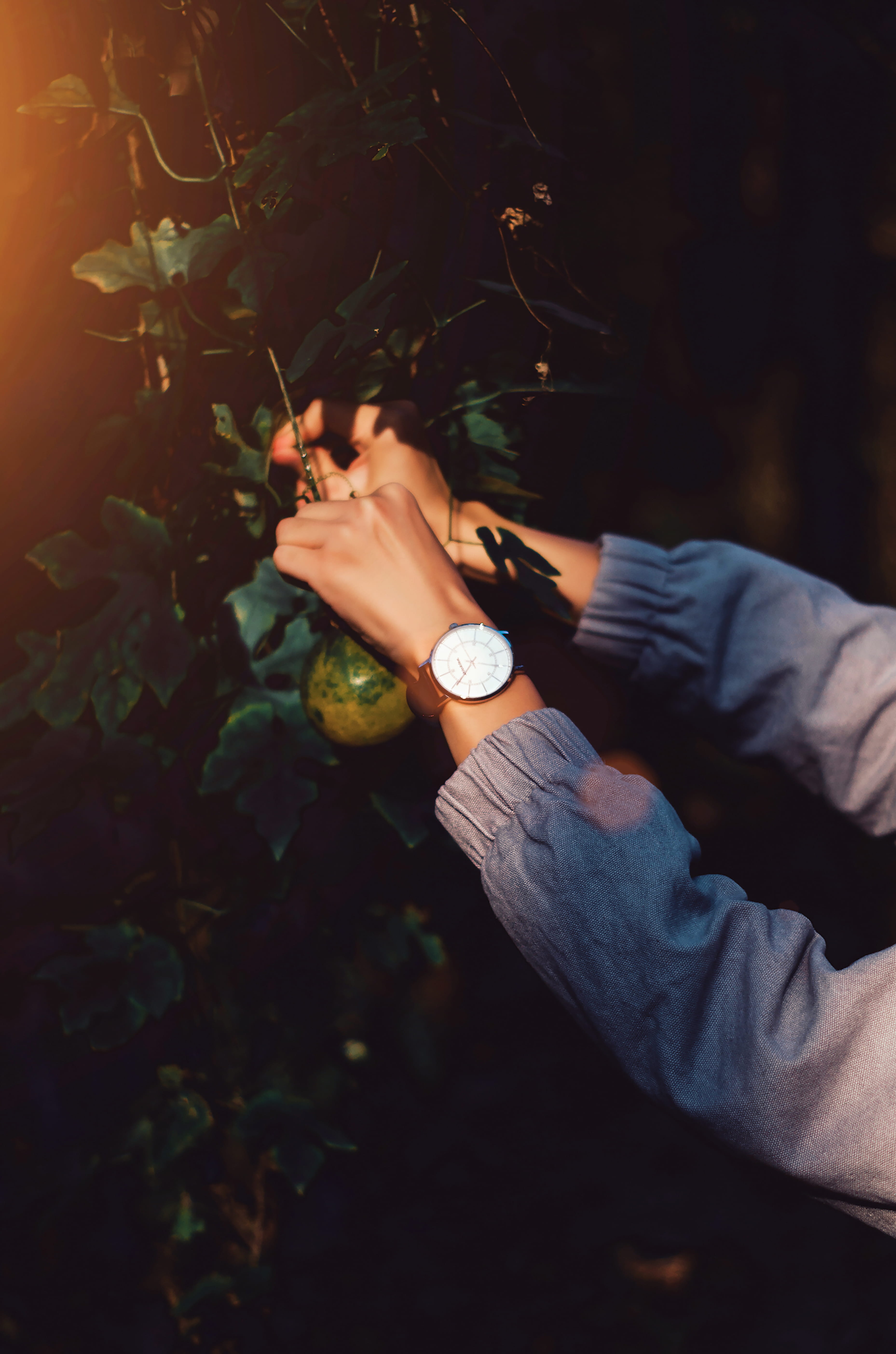 bad habit, light, men, picking, real people, white, leisure activity, lifestyles, glow, wearing, digital watch, risk, human, hands, work, fruit, human hand, Phone HD Wallpaper