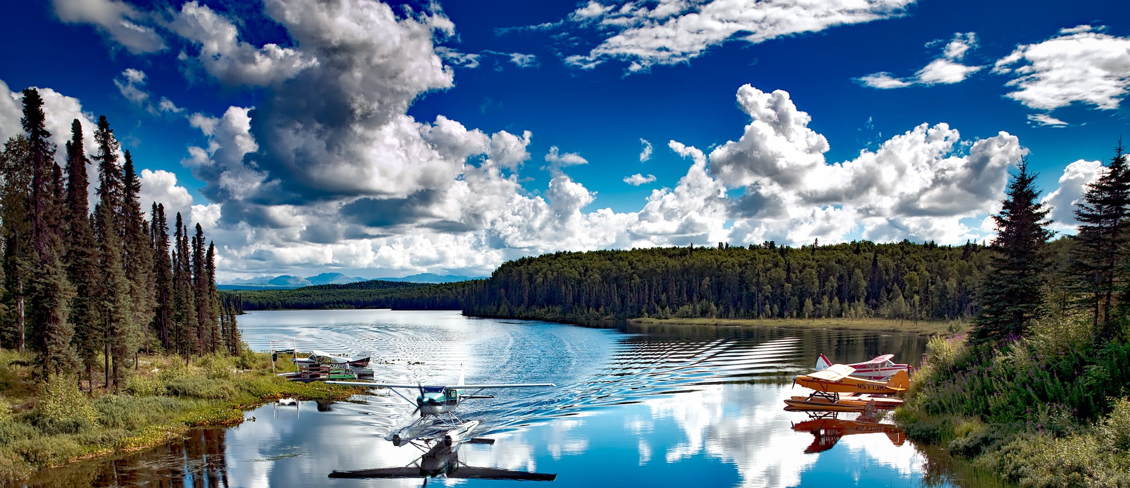 pine woodland, beauty in nature, summer, idyllic, pine trees, sky, reflection, tranquil scene, forest, nautical vessel, blue, cloud - sky, clouds, daylight, HD Wallpaper