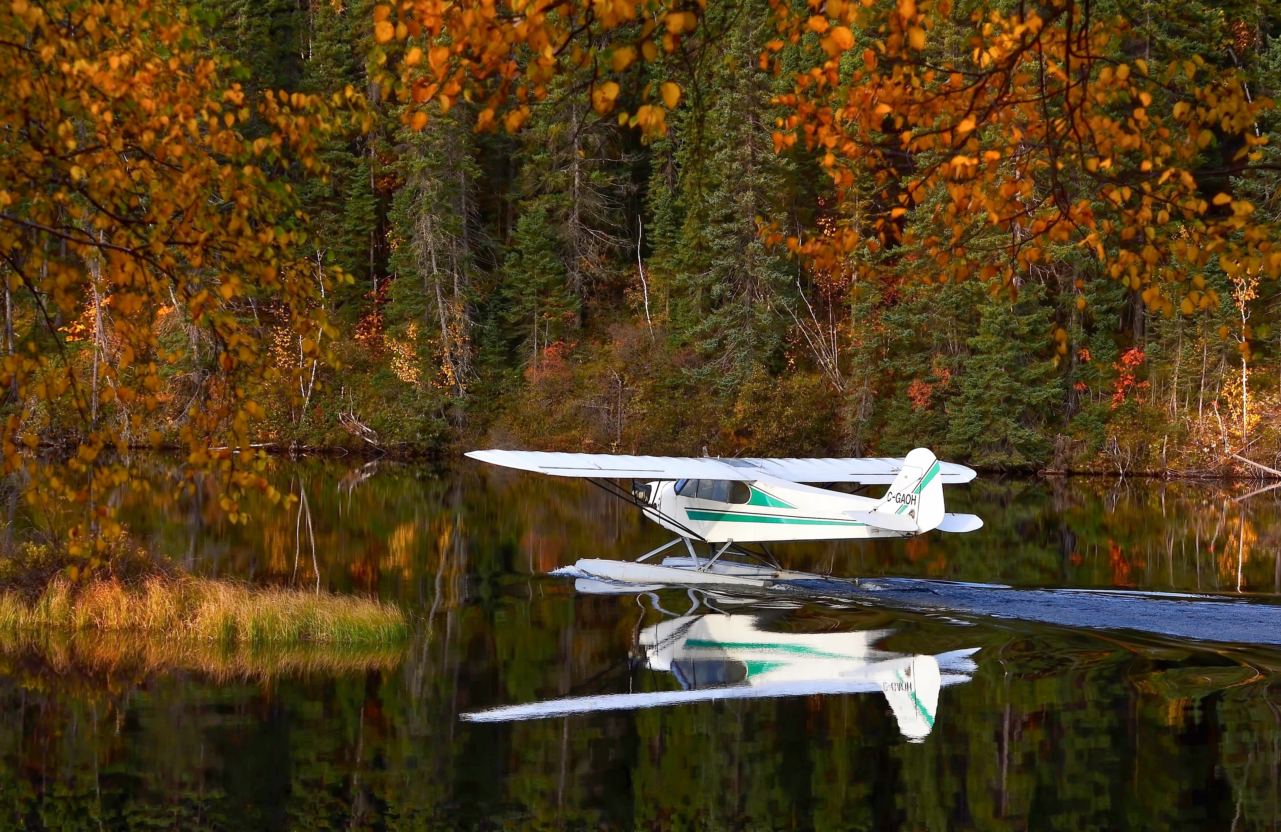 mode of transportation, tranquility, autumn landscape, nature, time, autumn, lake, transportation, plant, landscape, tree, white, change, forest, green, HD Wallpaper