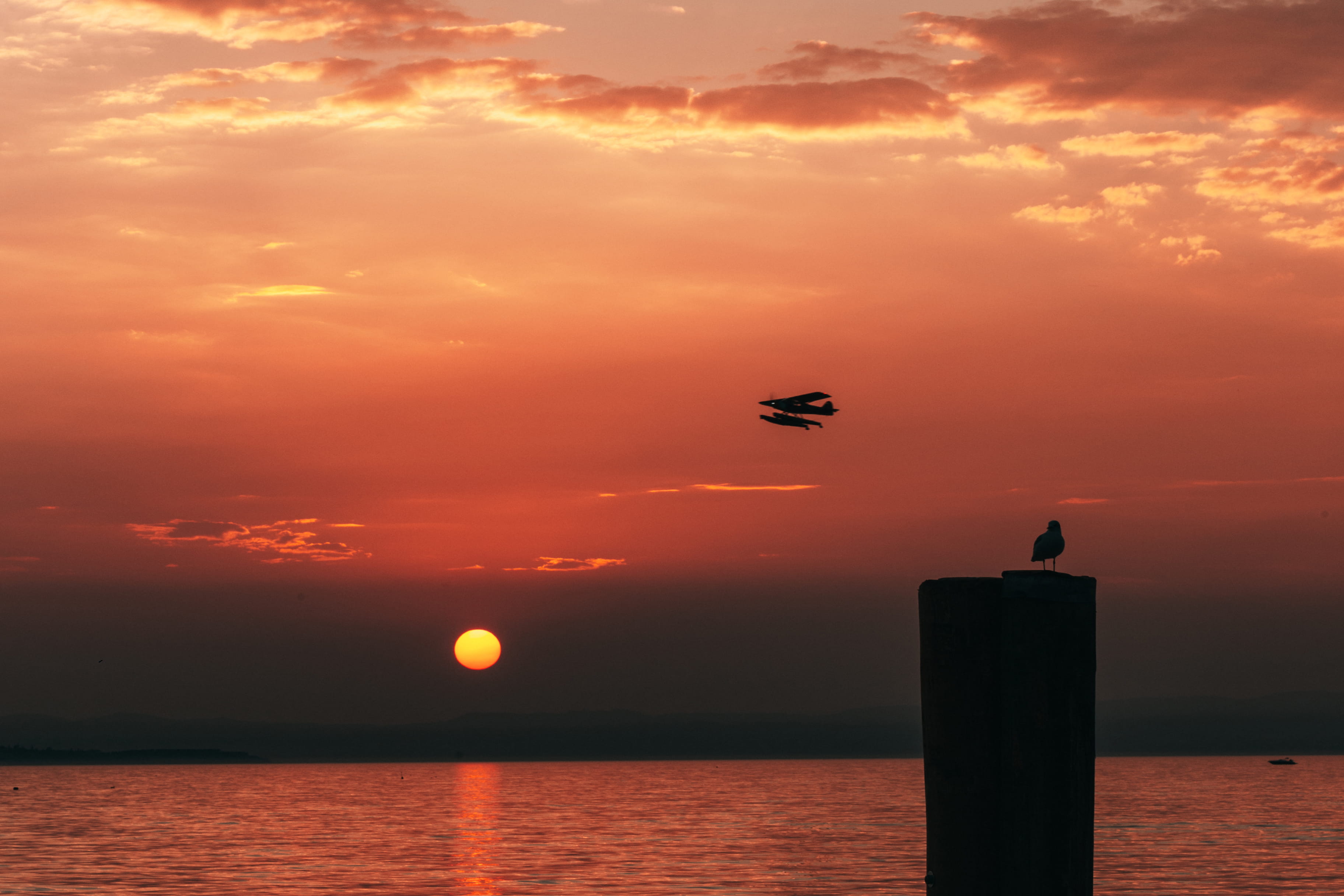 orange color, silhouette, cloud - sky, sky, wooden post, one animal, waterfront, animal themes, sun, aeroplane, dawn, seagull, beauty in nature, HD Wallpaper