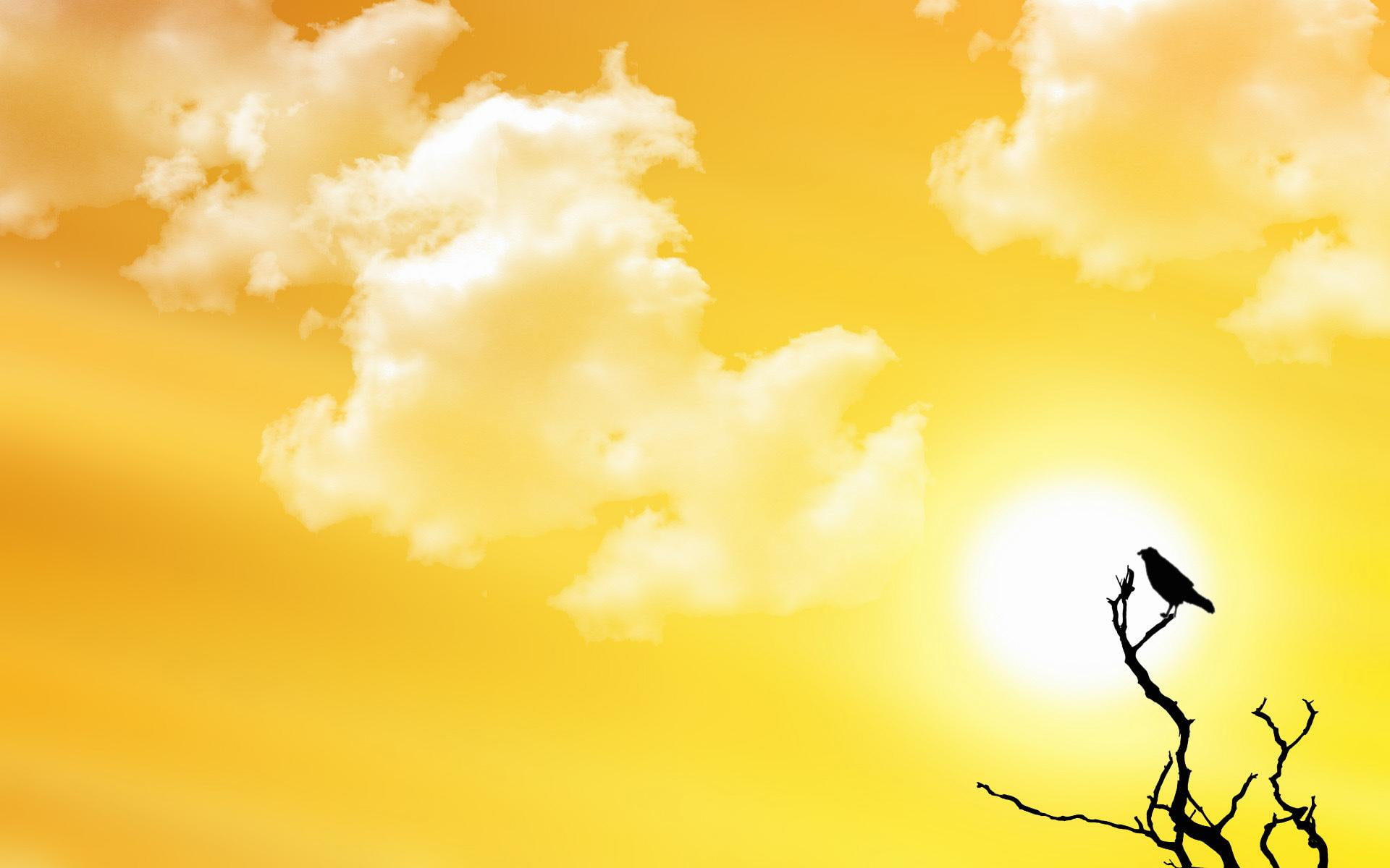 watch, bird, yellow, sunset, 3d and abstract, clouds, 1080P, branch, HD Wallpaper