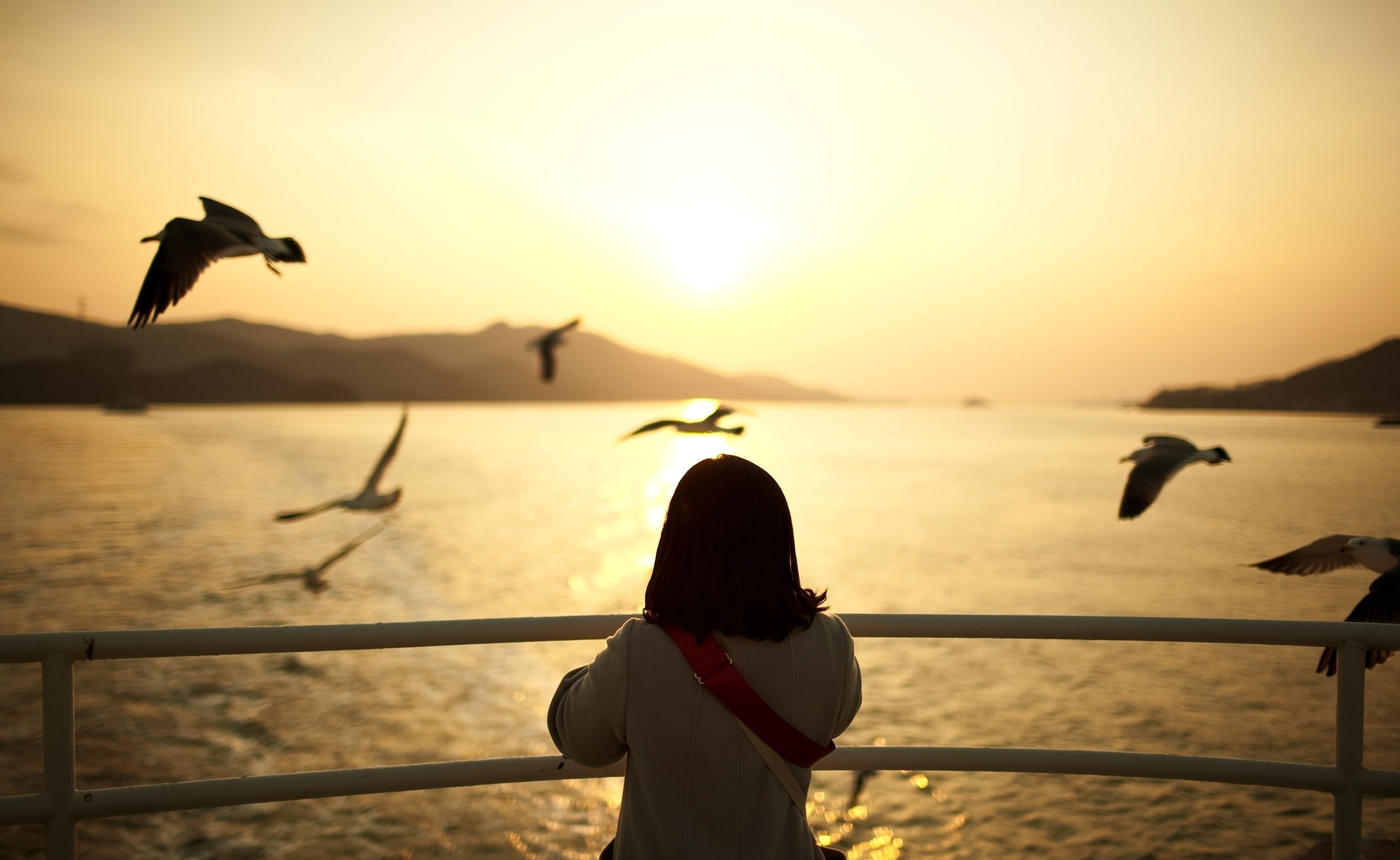 2K, Sunset, Cute, Watching, Girl, HD Wallpaper