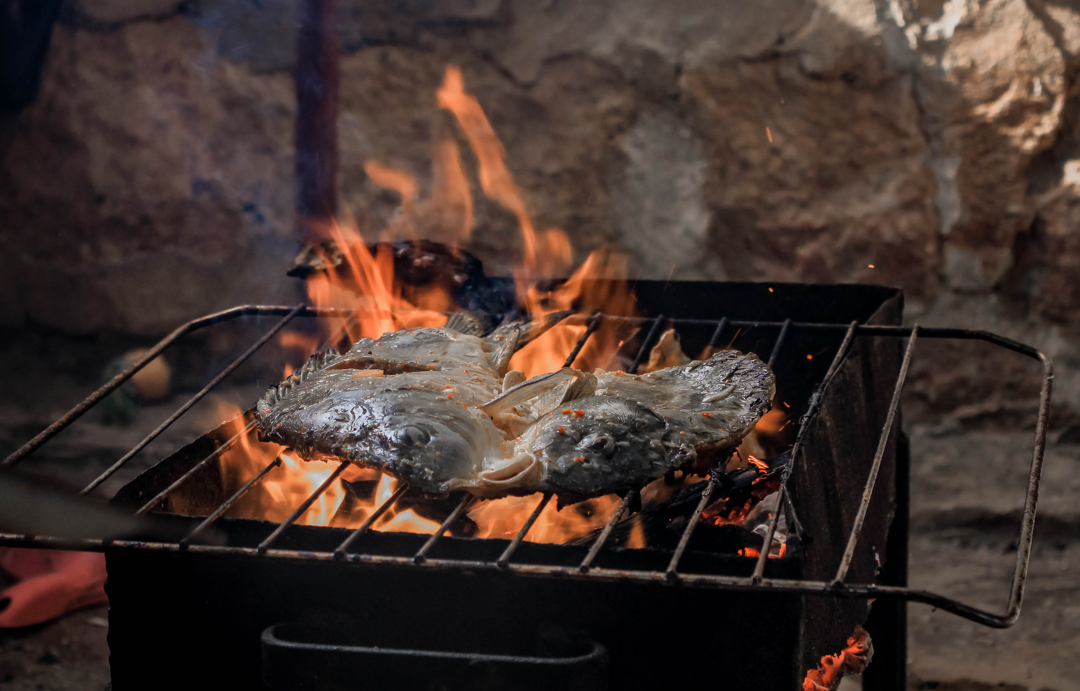 grilling, flame, grilled, cook out, preparation, cookout, meat, cooking, burning, smoke, coal, tasty, heat, food photography, barbecue grill, 4K, outdoors, HD Wallpaper