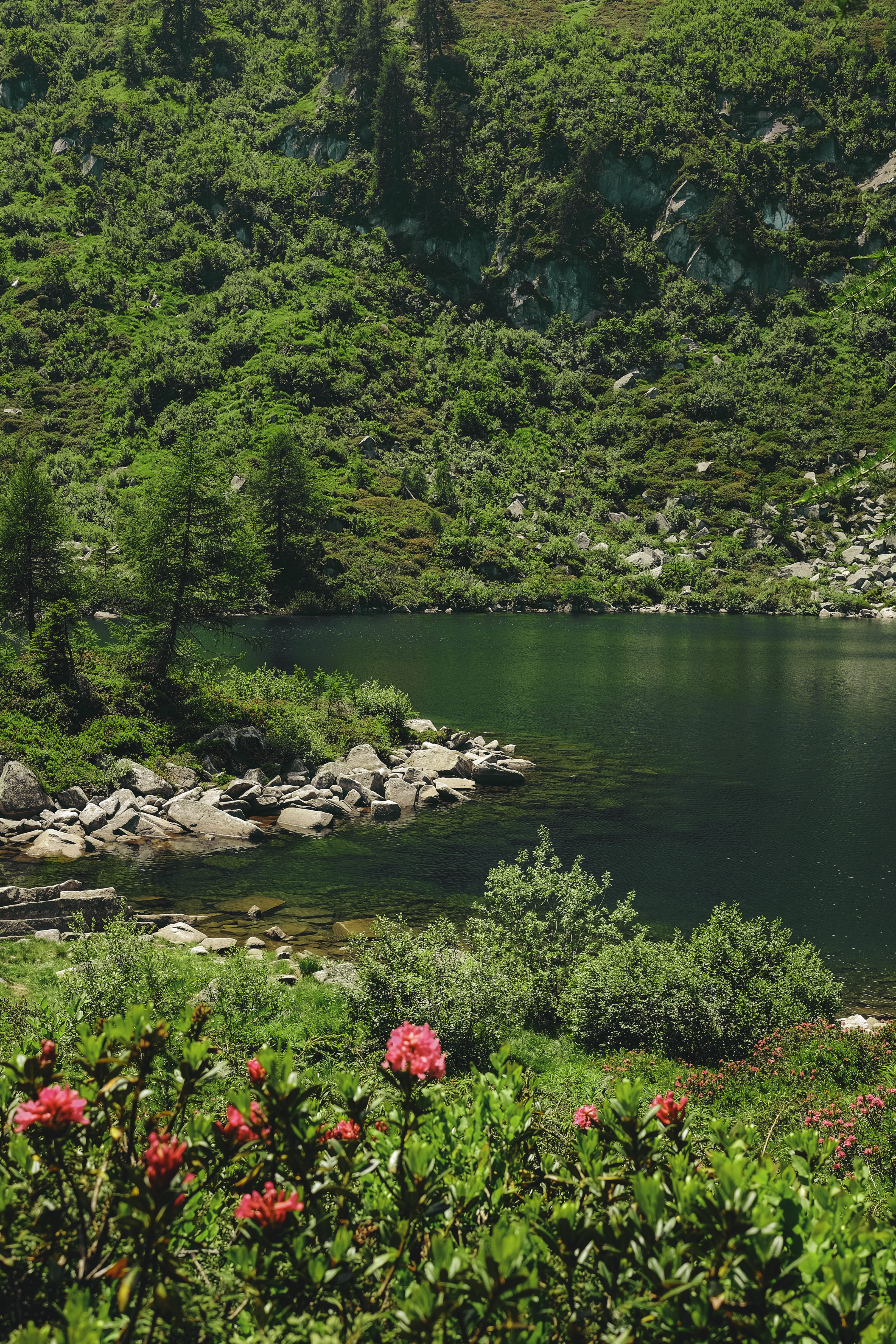 tranquility, growth, lake, italy, xt10, tranquil scene, view, outdoors, valle rendena, land, no people, green color, tree, mountain, natural, fuji, foliage, Phone HD Wallpaper
