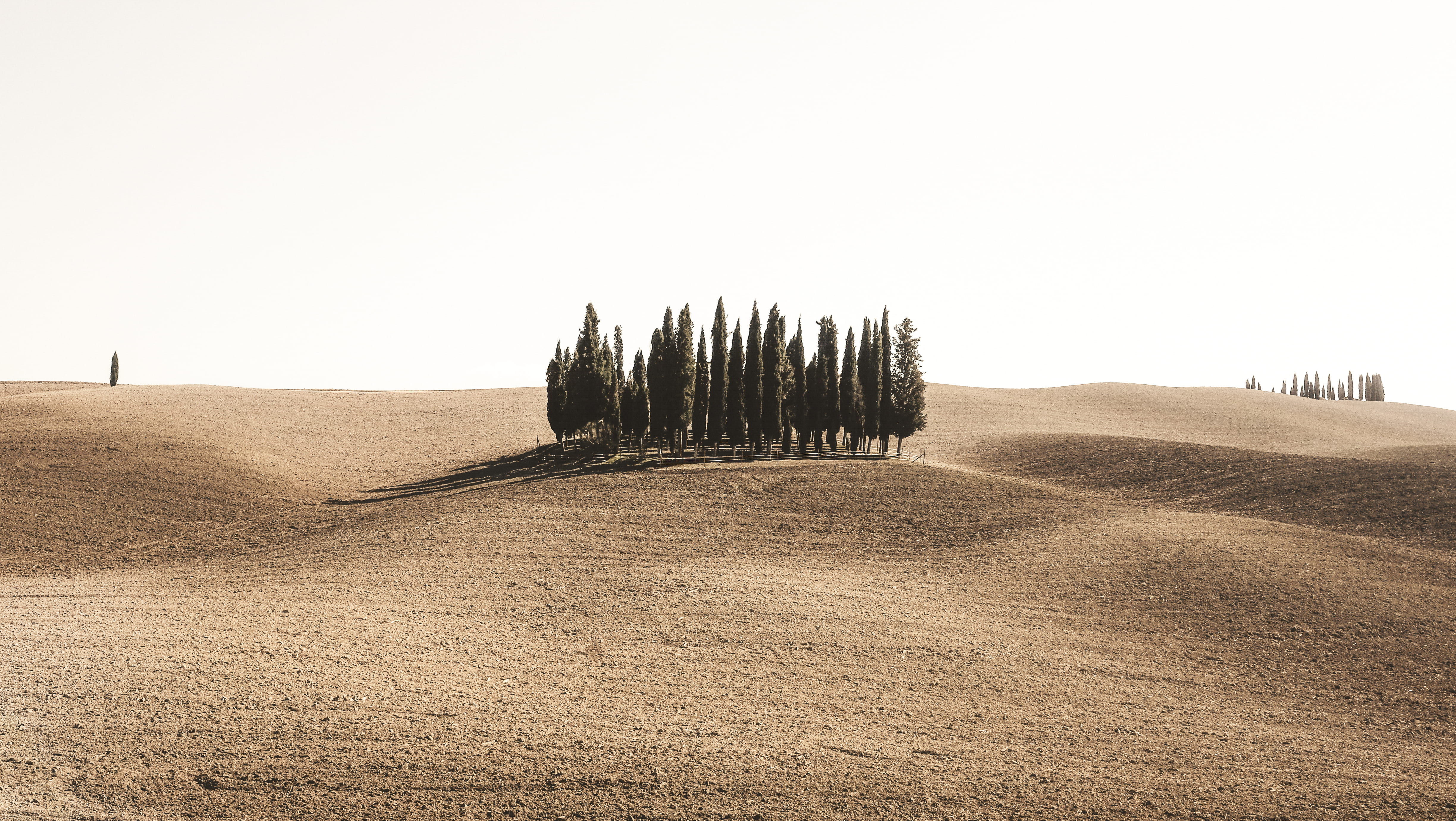 lessismore, landscape, environment, xt10, no people, tranquil scene, day, less, land, travel, surrounded, scenics - nature, minimal, pine, growth, tree, HD Wallpaper
