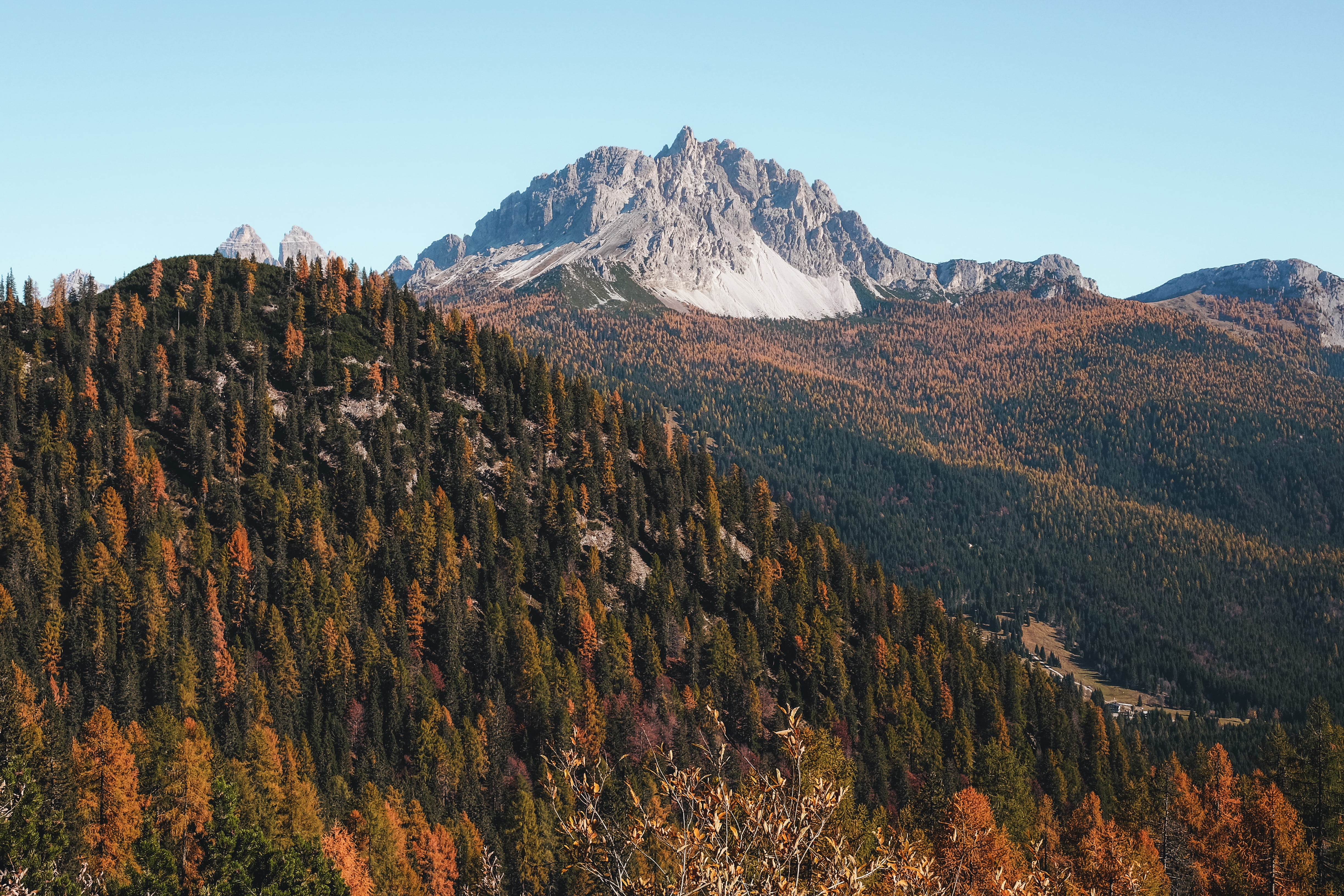 landscape, environment, plant, day, nature, beauty in nature, wooden, tranquility, autumn, tree, mountain peak, pine tree, brow, no people, near, 4K, walk, HD Wallpaper