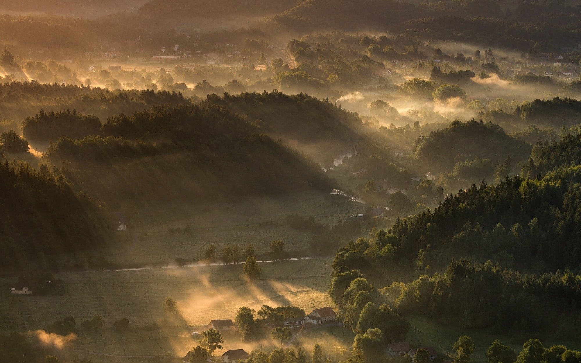 nature, scenics - nature, trees, idyllic, forest, village, sky, tranquility, landscape, land, 1080P, sunset, sunlight, sunbeams, plant, no people, tree, HD Wallpaper