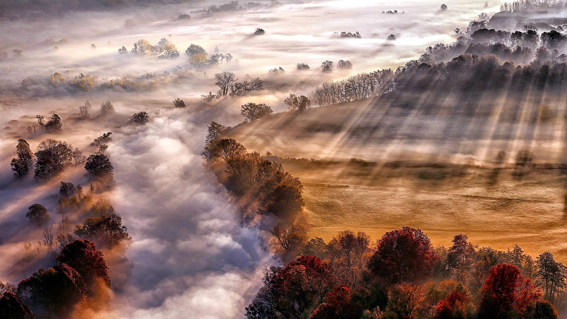 fog, sunbeam, foggy, rays, sun rays, autumn landscape, autumn, autumn scenery, landscape, 1080P, countryside, HD Wallpaper