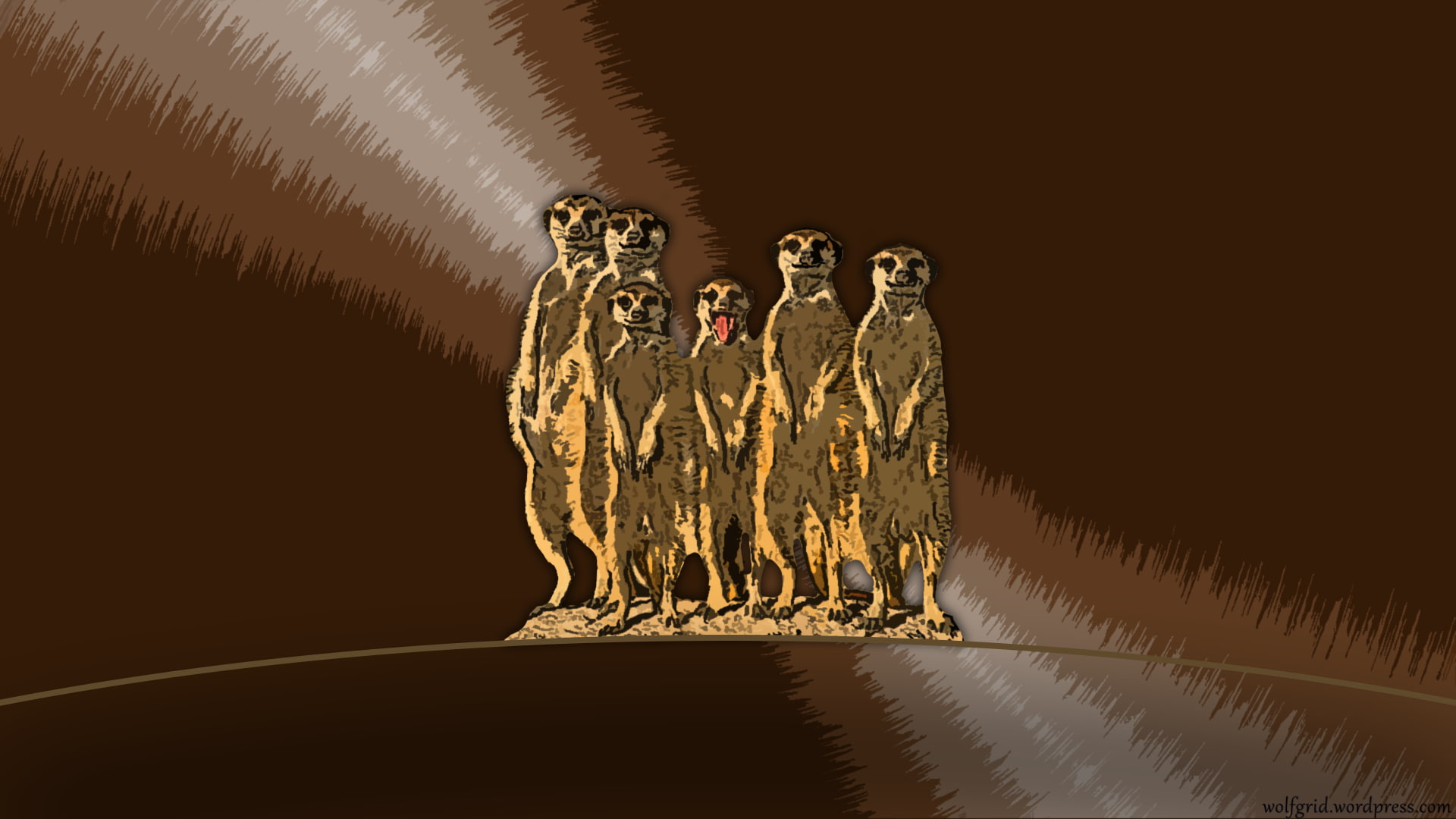 humor, meerkats, 1080P, animals, HD Wallpaper