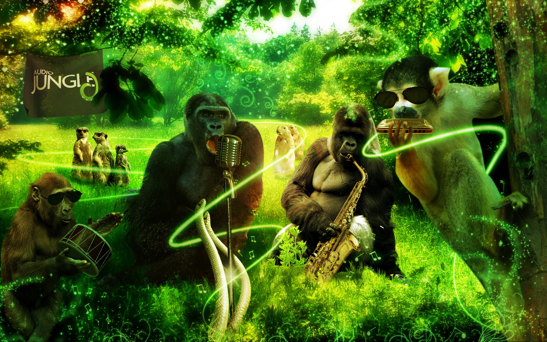 music, animals, gorilla, monkey, 1080P, art, meerkat, jungle, HD Wallpaper