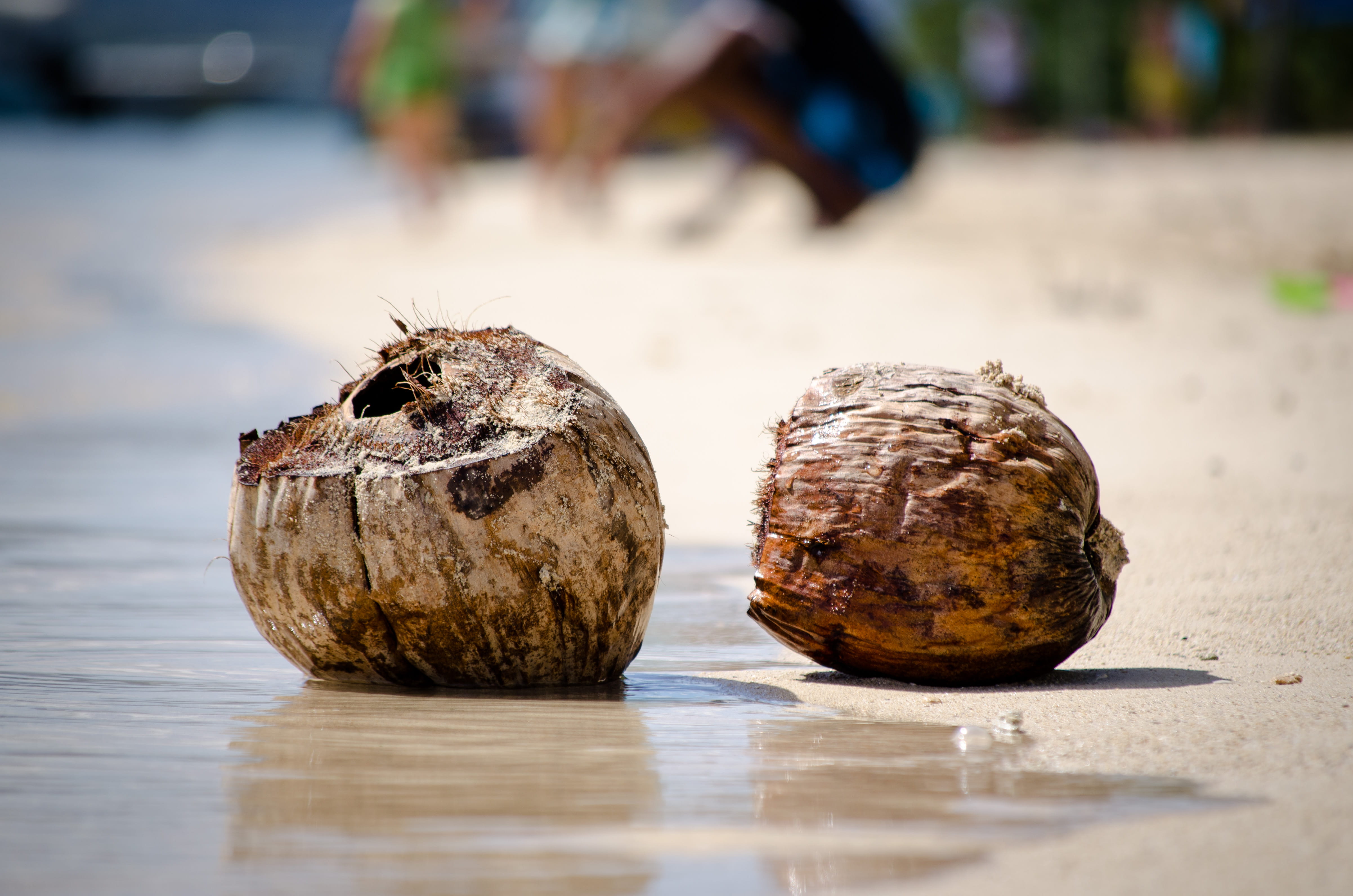 mauritius, surface level, wood - material, no people, island, table, fruit, freshness, coconuts, 4K, food, reflection, selective focus, close-up, outdoors, HD Wallpaper