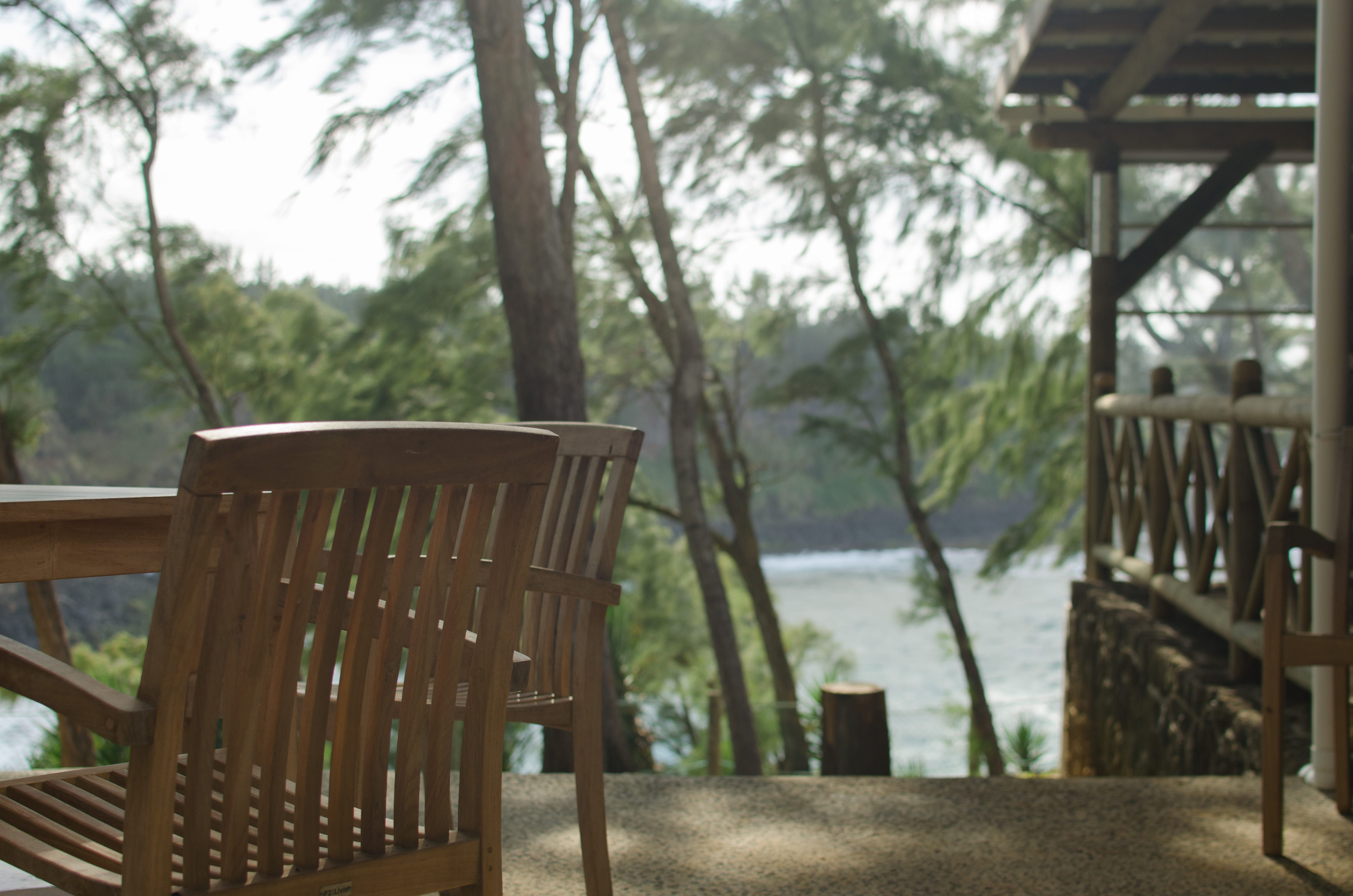 porch, wallapaper, empty, wood, mauritius, 4K, tree trunk, furniture, ocean, nature, tree, andrea lodges, setting, table, absence, wood - material, trees, HD Wallpaper