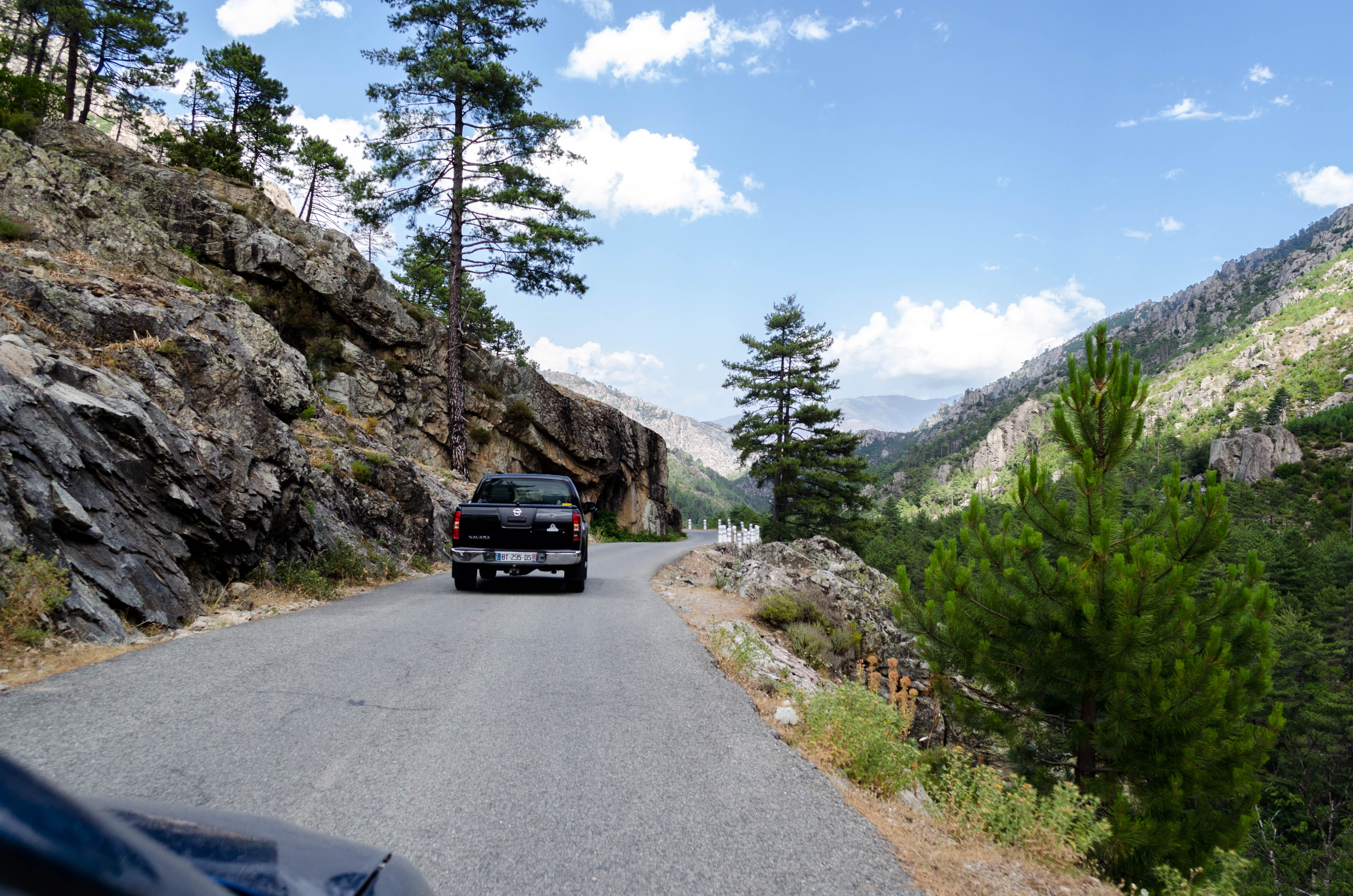 fir, direction, friends, beauty in nature, forest, the way forward, car, vehicle, folk, automobile, mode of transportation, motor vehicle, outdoors, asphalt, HD Wallpaper