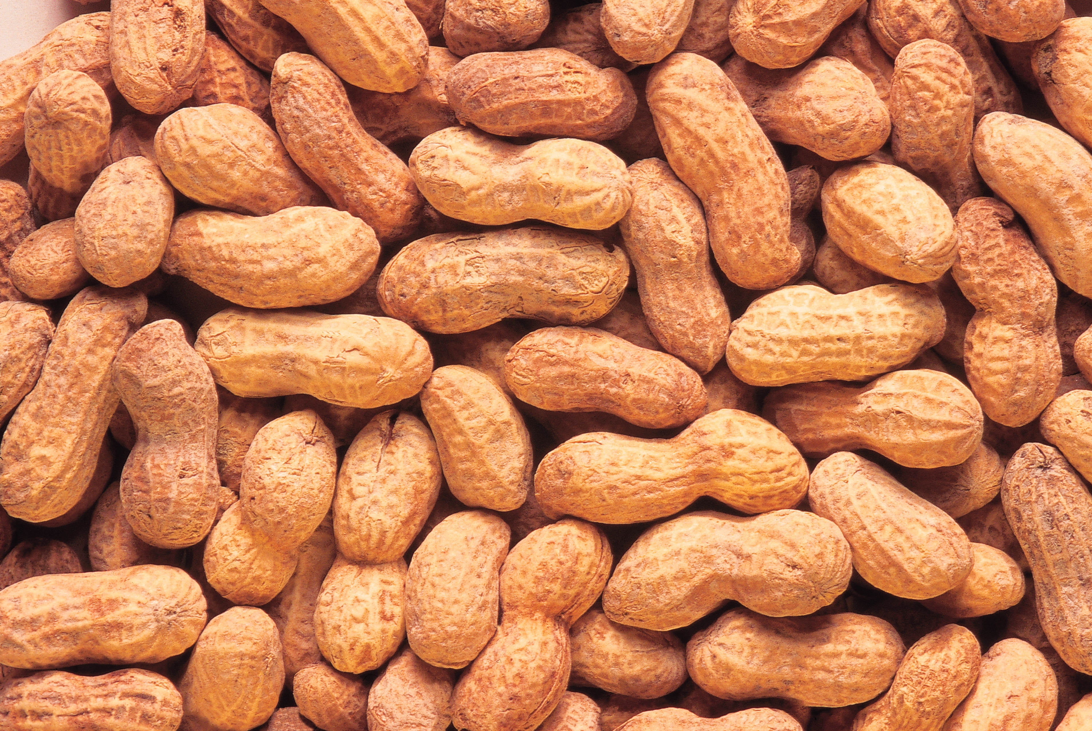 refreshment, wellbeing, large group of objects, dieting, nut - Food, seed, fruit, no people, backgrounds, peanuts, nutshell, retail, full frame, organic, HD Wallpaper
