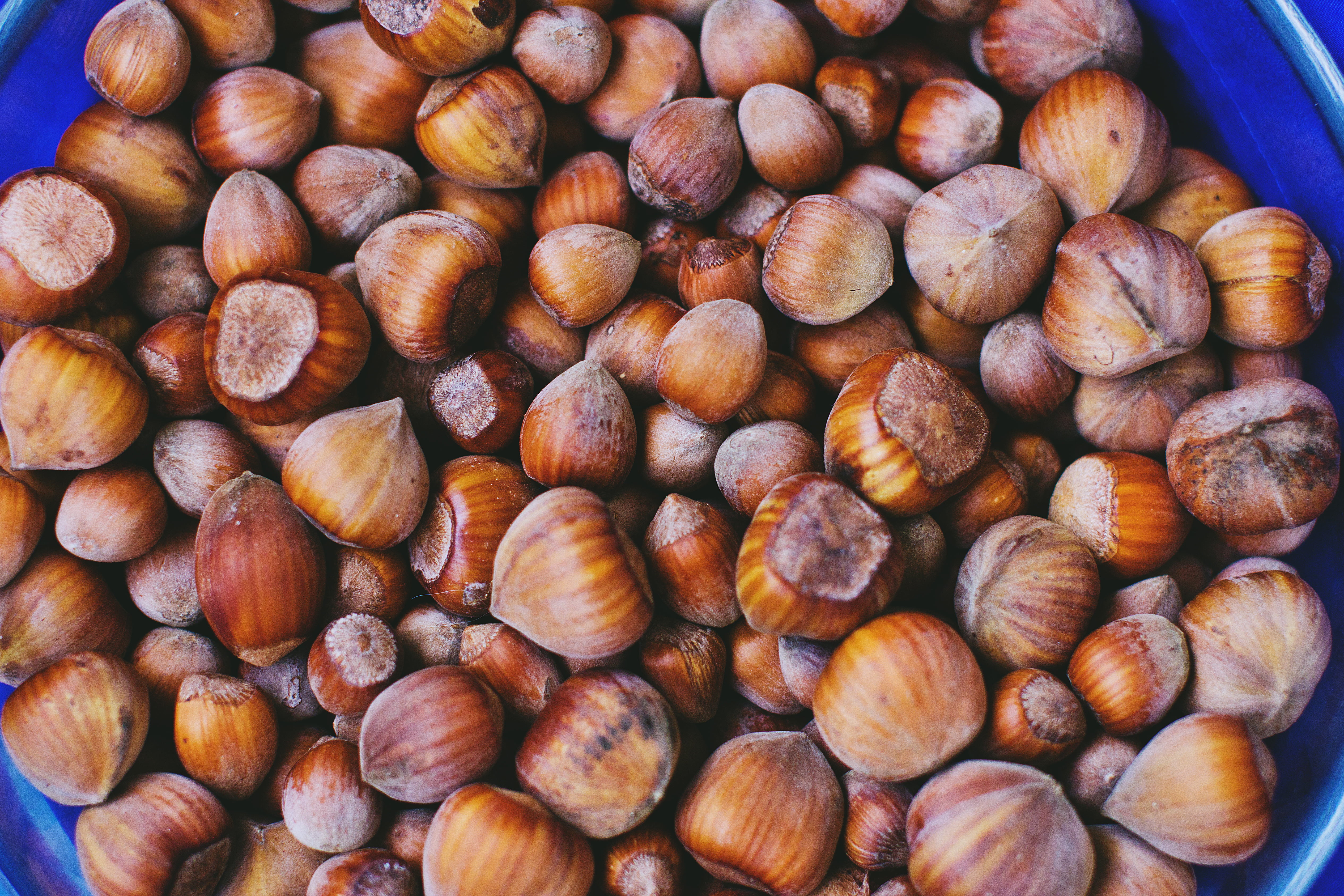 still life, chestnut, organic, high angle view, nutshell, group of Objects, vegetarian Food, freshness, wood - Material, food And Drink, ripe, day, abundance, HD Wallpaper