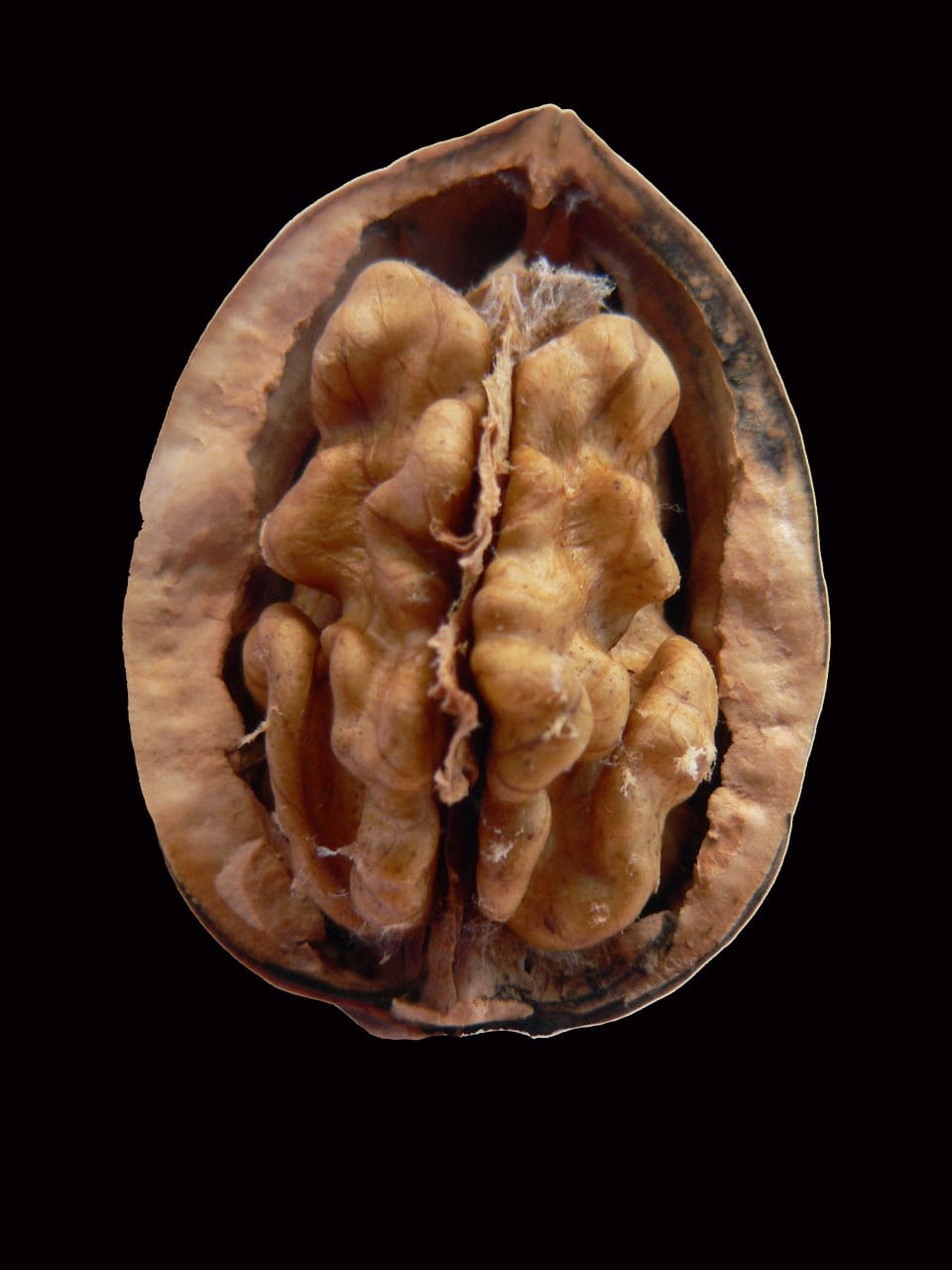 nut, 720P, food, cross section, shape, black background, healthy eating, snack, no people, directly above, close-up, walnut, kernel, vegetable, freshness, Phone HD Wallpaper