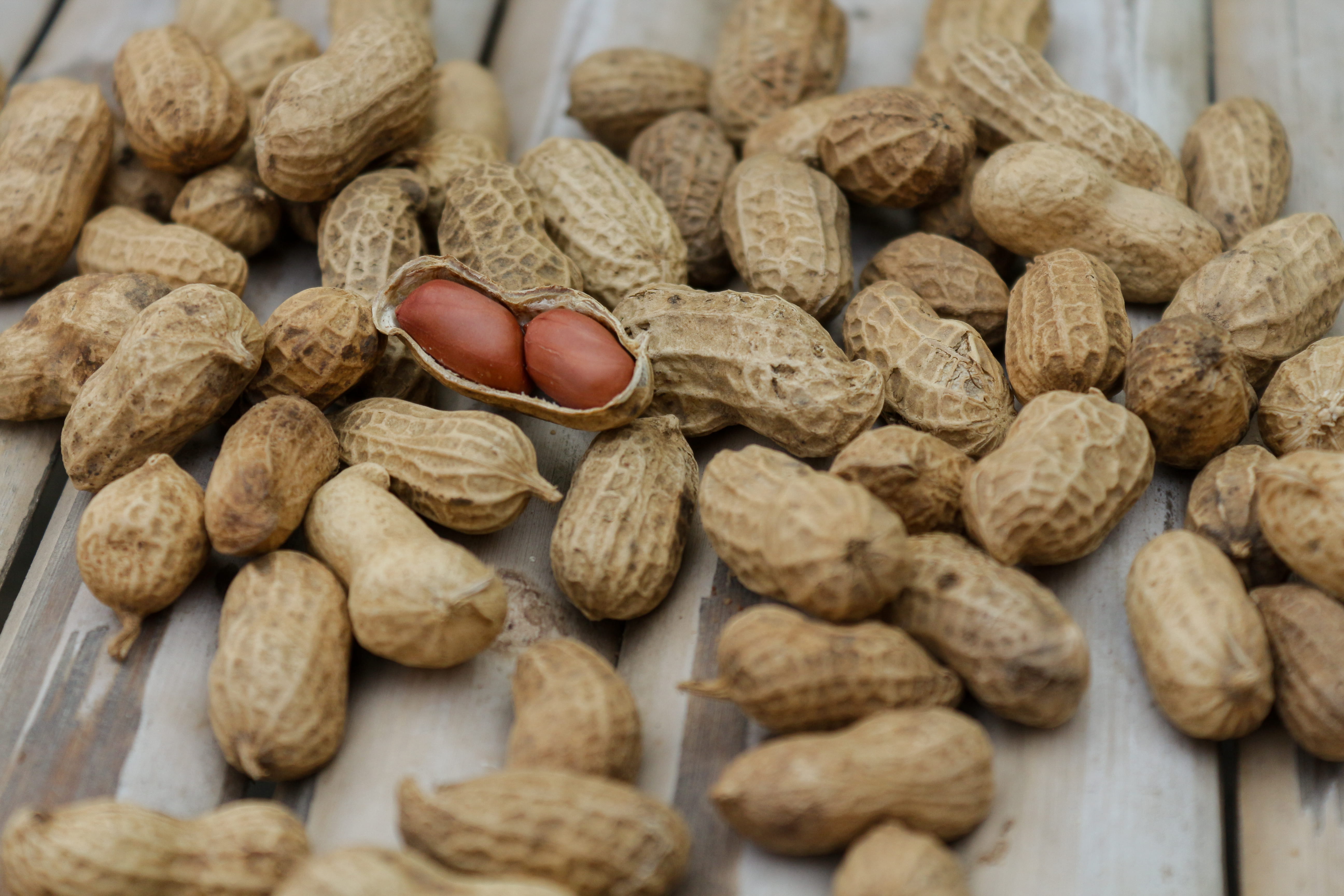 healthy, nut - food, pod, protein, diet, heap, nutrition, abundance, shell, still life, peanut - food, food and drink, 5K, nutshell, snack, hard, food, HD Wallpaper
