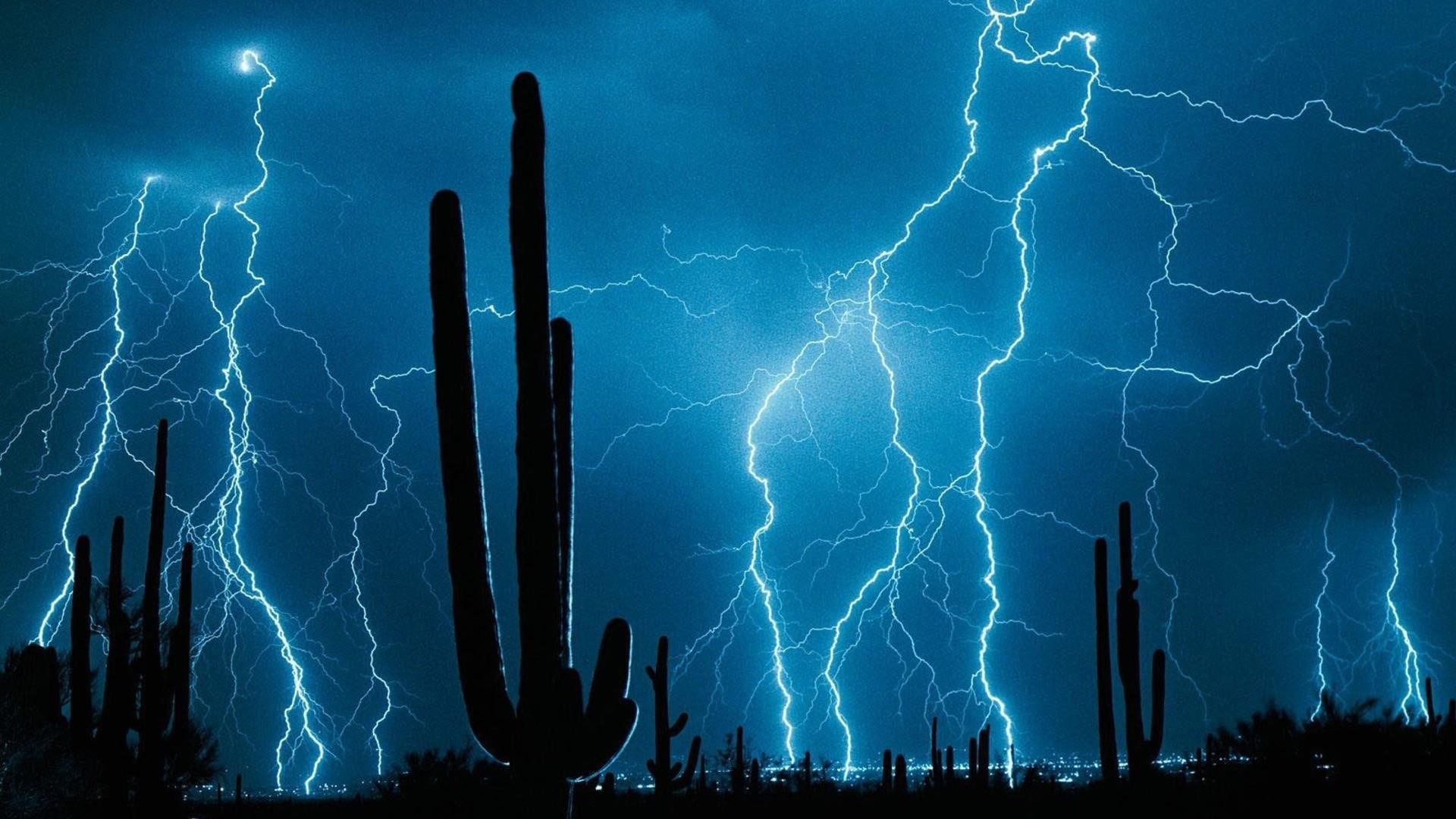 1080P, night, cactus, lightning, silhouette, sky, night sky, HD Wallpaper