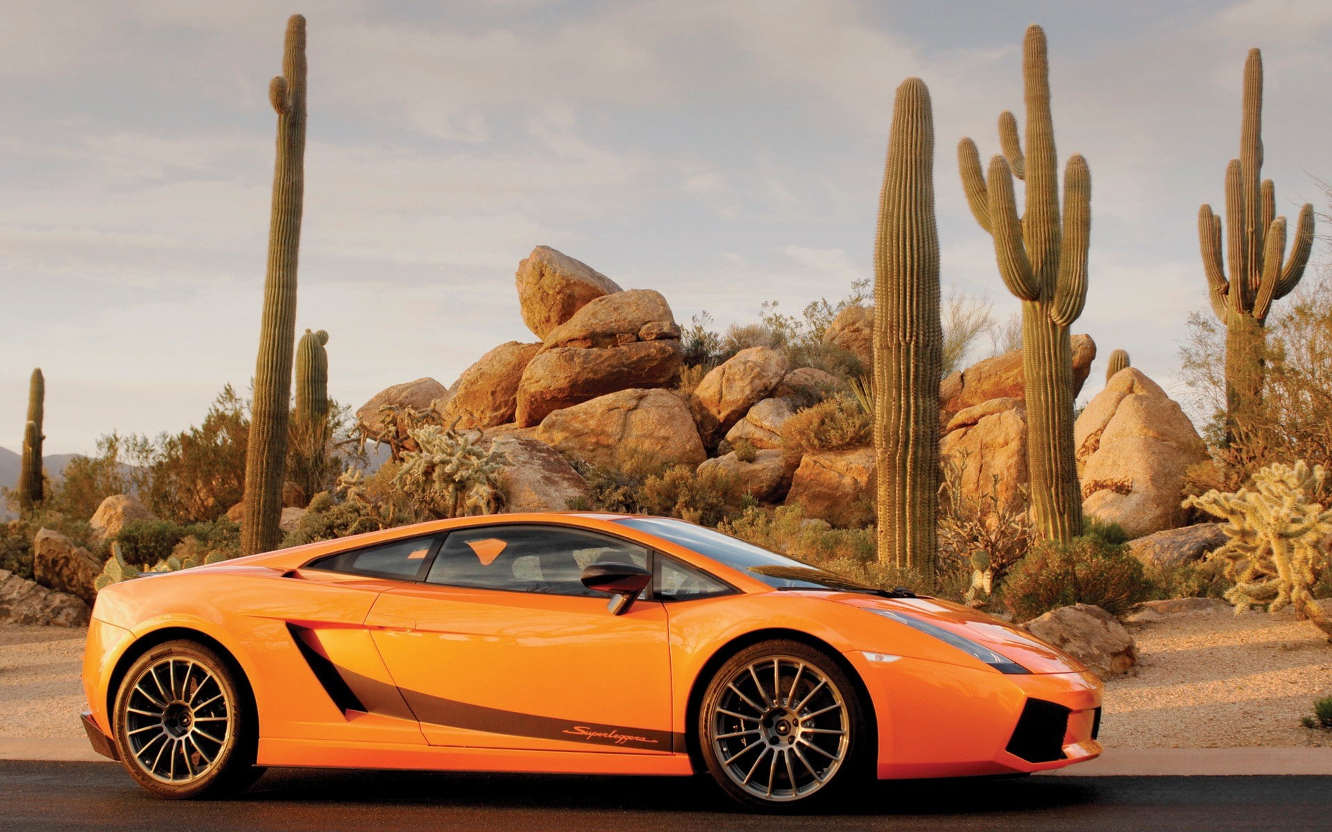 orange cars, cactus, 1080P, rock, desert, car, HD Wallpaper