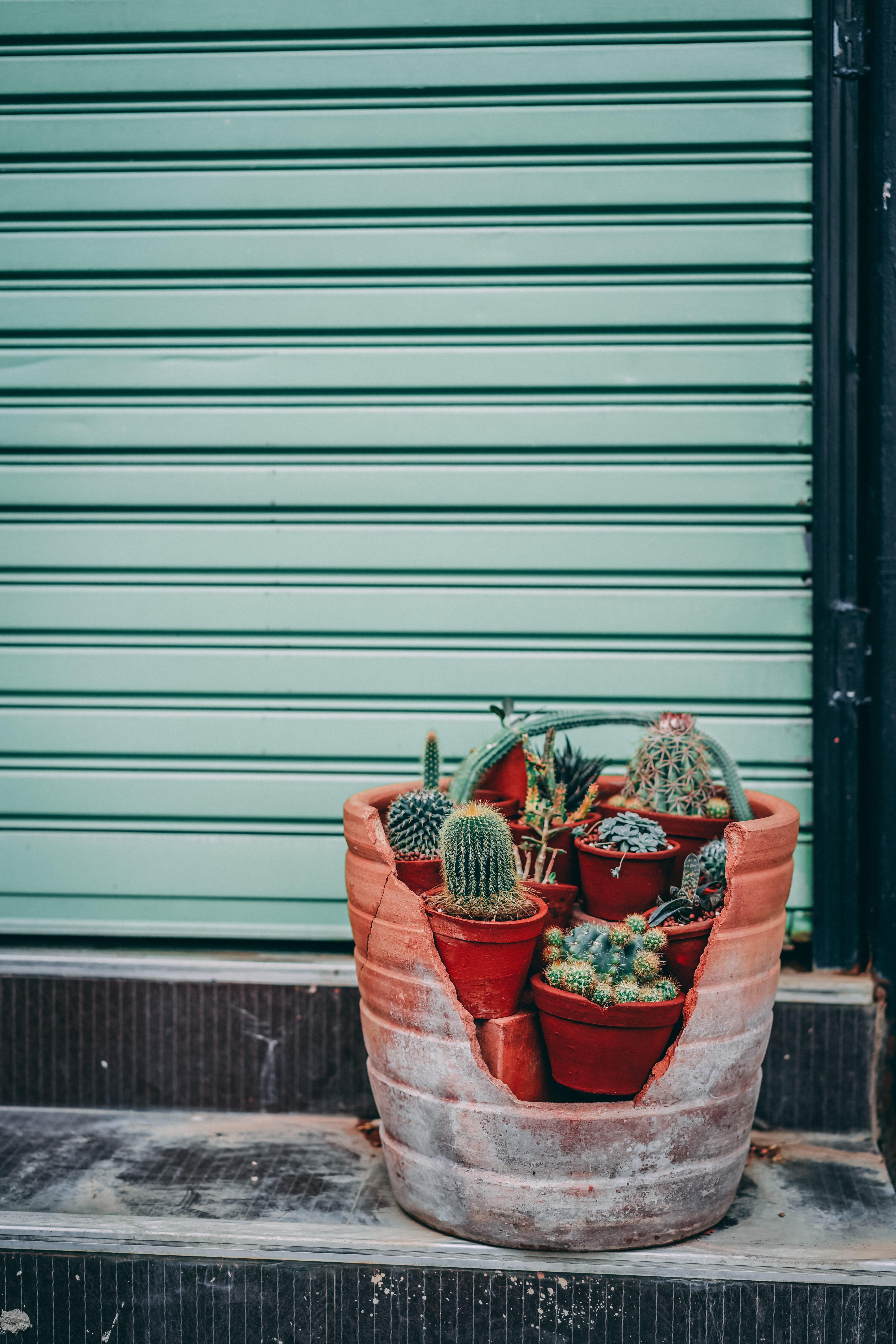 green, 5K, exterior, basket, pattern, flower pot, architecture, pots, step, corrugated, garage, traveling, door, sonyalpha, vsco, wall - building feature, Phone HD Wallpaper