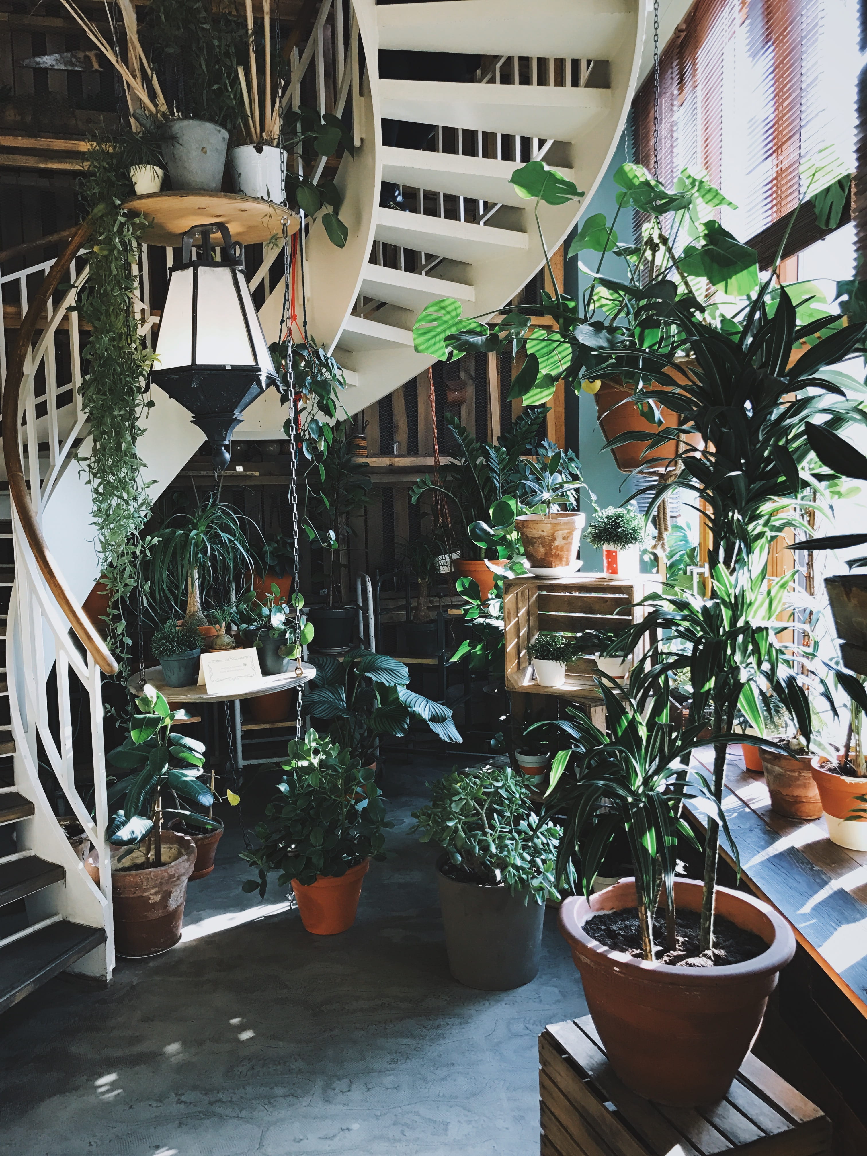 decor, pot, flower Pot, beauty in nature, window, green leaf, variety, building exterior, leafed, nature, stair, 4K, plants, leaf, plant, business, potted plant, Phone HD Wallpaper