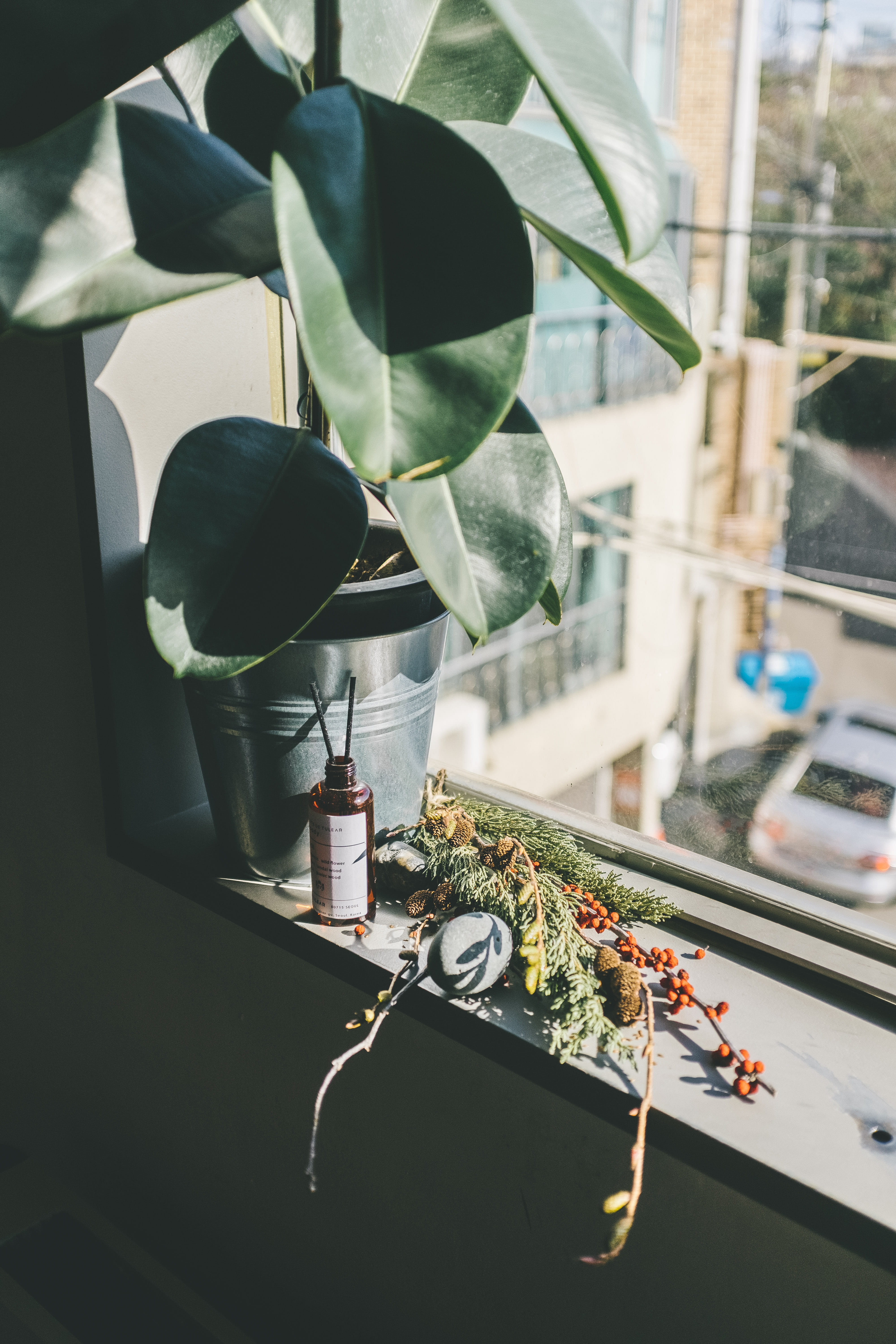 potted plant, lighting equipment, handrail, focus on foreground, plant part, green, table, automobile, clothing, apparel, 5K, blossom, flower, day, glass - material, Phone HD Wallpaper