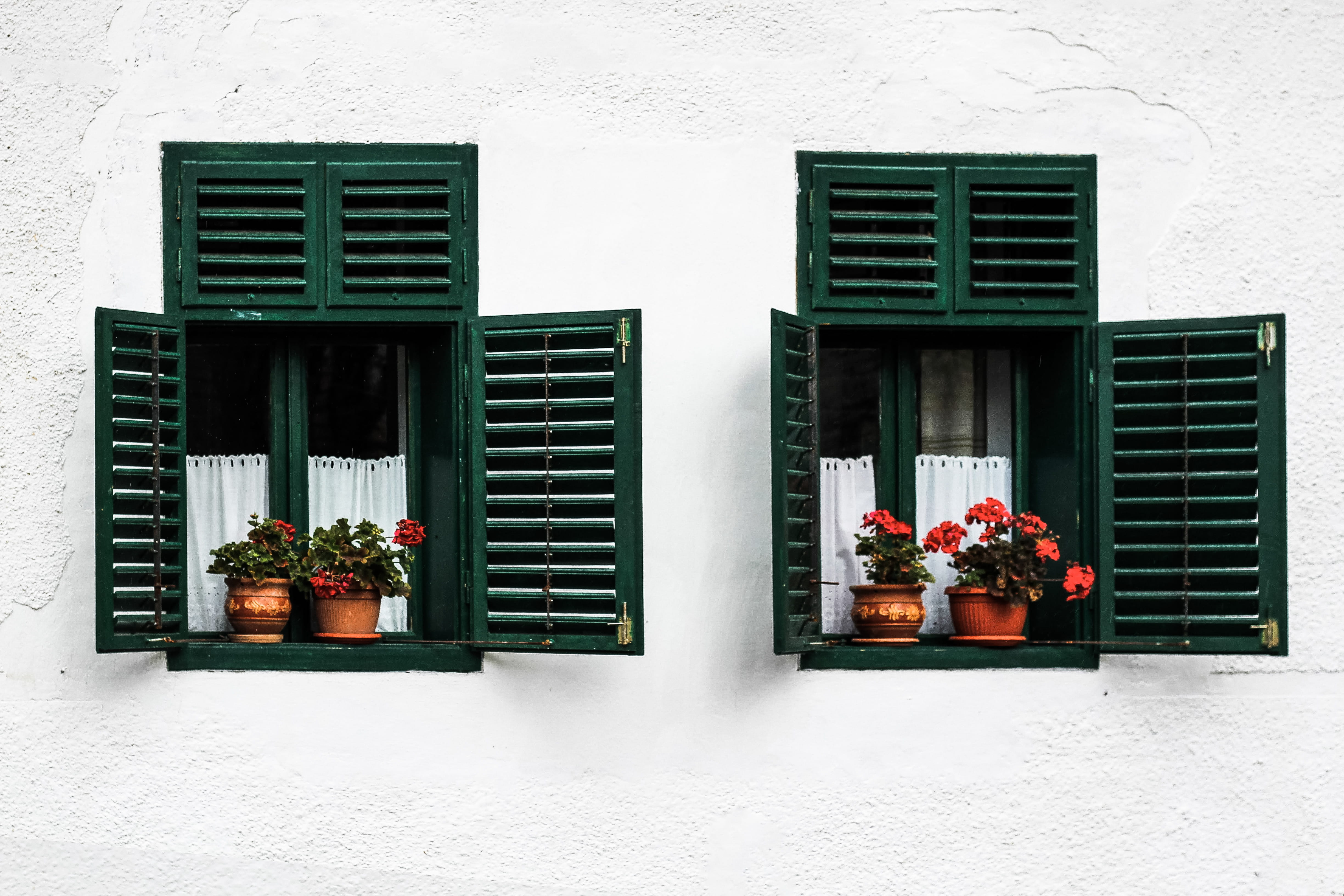 opened, built structure, growth, pottery, windows, curtain, vase, nature, building exterior, green, potted plant, plant, house, wall - building feature, HD Wallpaper