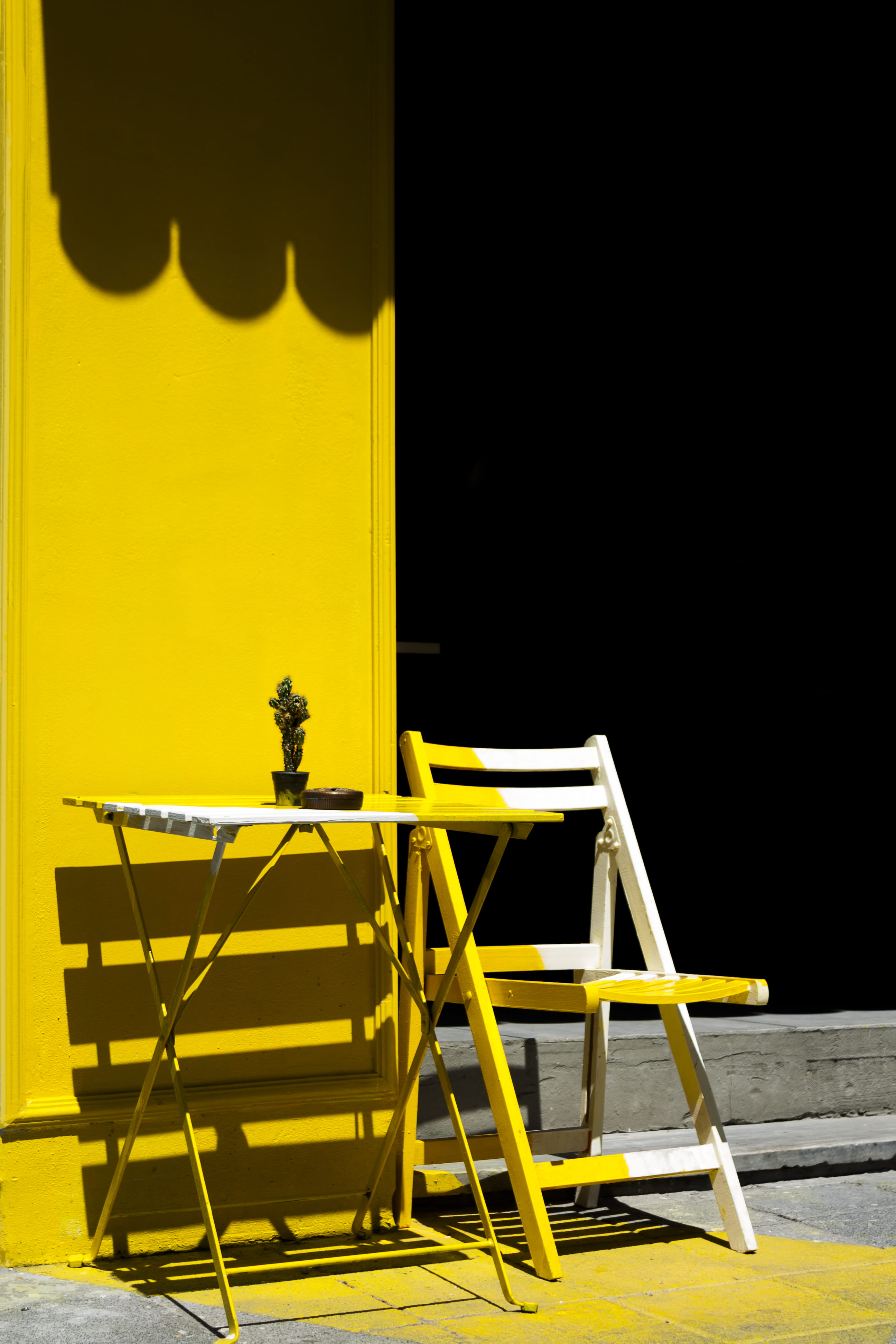 cacti, ladder, 4K, chair, colour, folding, near, no People, table, color, outdoors, shadow, cafe, indoors, architecture, contrast, wood - Material, cactu, Phone HD Wallpaper