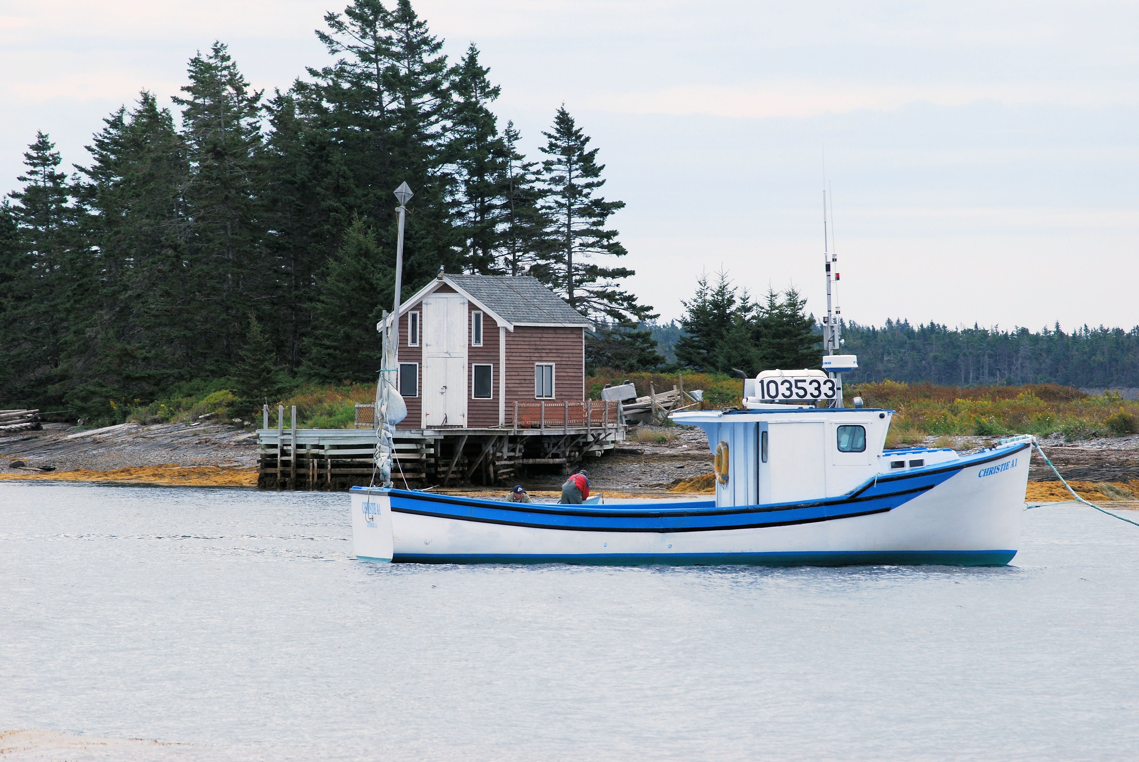 built structure, outdoors, town, no people, plant, picturesque, transportation, cloud - sky, coniferous tree, day, water, boat, architecture, ocean, mode of transportation, HD Wallpaper