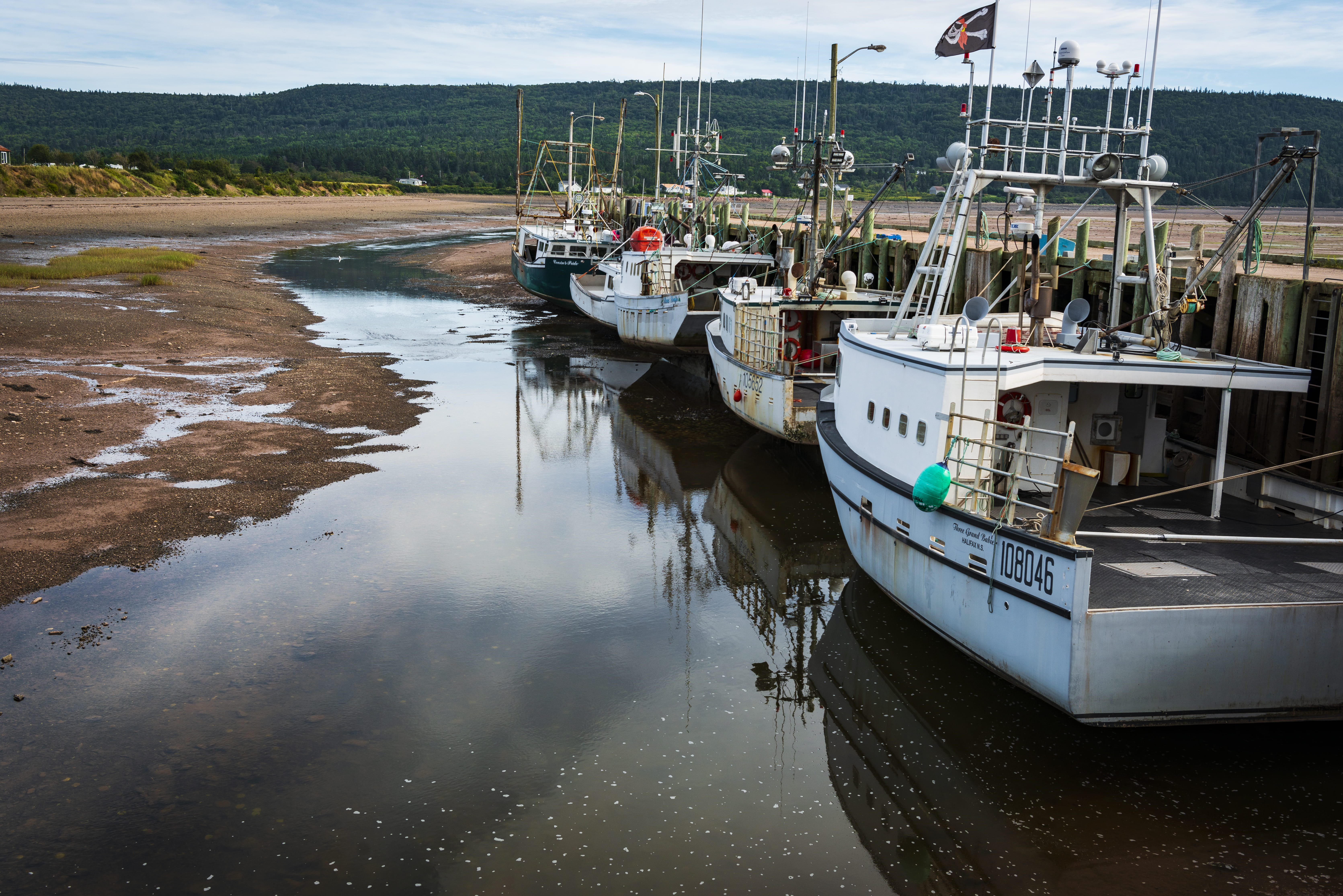white, anchored, advocate harbour, marina, water, outdoors, nature, waterfront, grey, mast, fishing boat, 5K, day, sailboat, four, harbor, fishing, port, HD Wallpaper