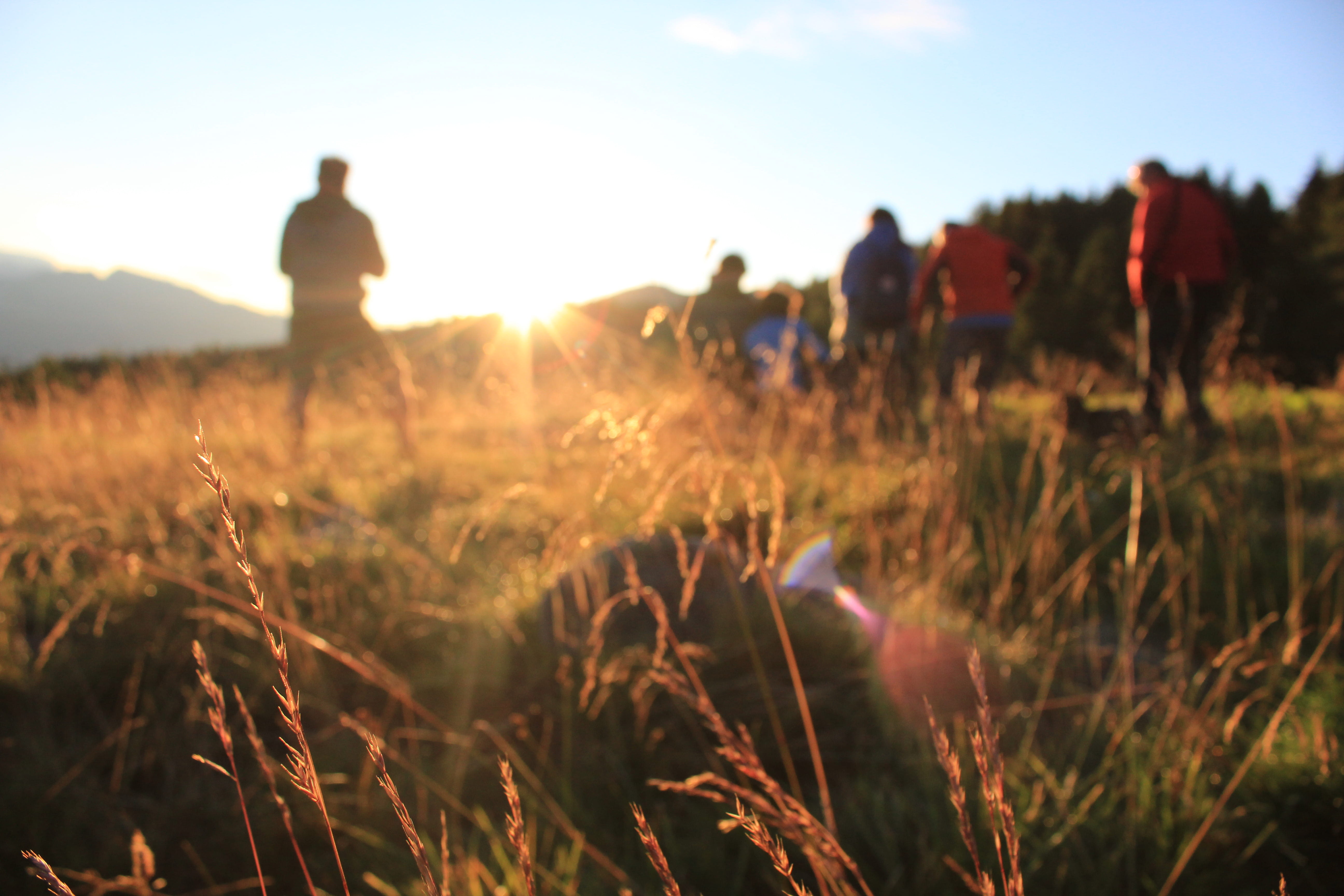 field, sunrise, land, sky, focus on foreground, meditation, sunlight, men, standing, italy, growth, grass, glory to god, adult, real people, sunset, worship, HD Wallpaper