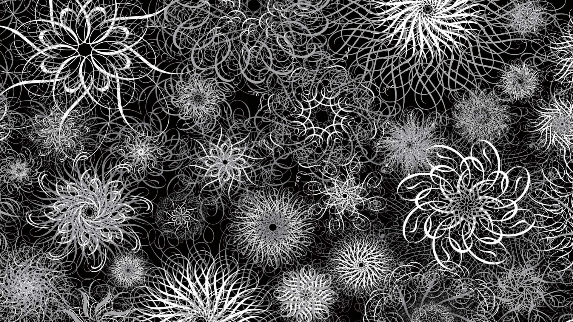plant, nature, pattern, thorn, 1080P, high angle view, field, growth, land, spiky, full frame, backgrounds, succulent plant, outdoors, no people, barrel cactus, HD Wallpaper
