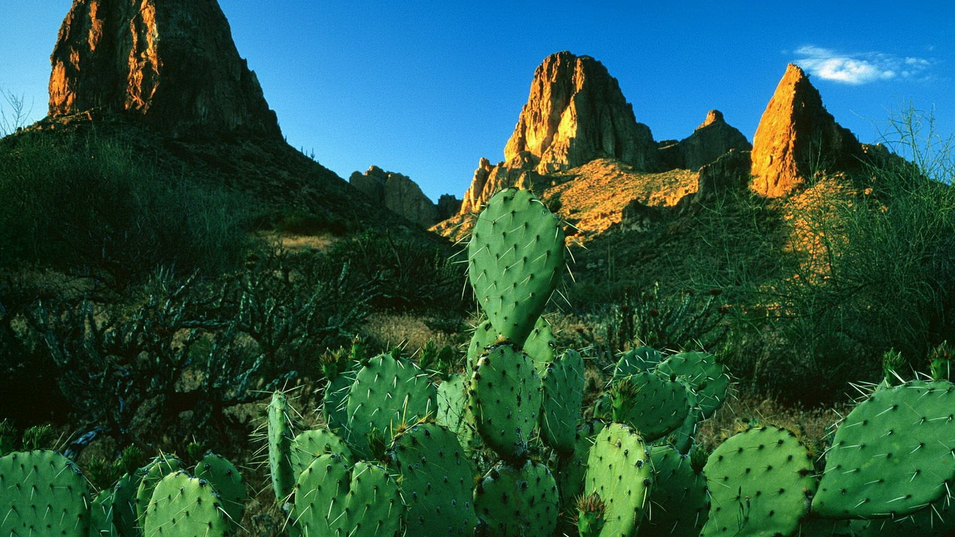 landscape, formation, mountain, tree, sky, arizona, superstition mountains, mountain range, green color, united states, cactus, day, growth, travel destinations, HD Wallpaper